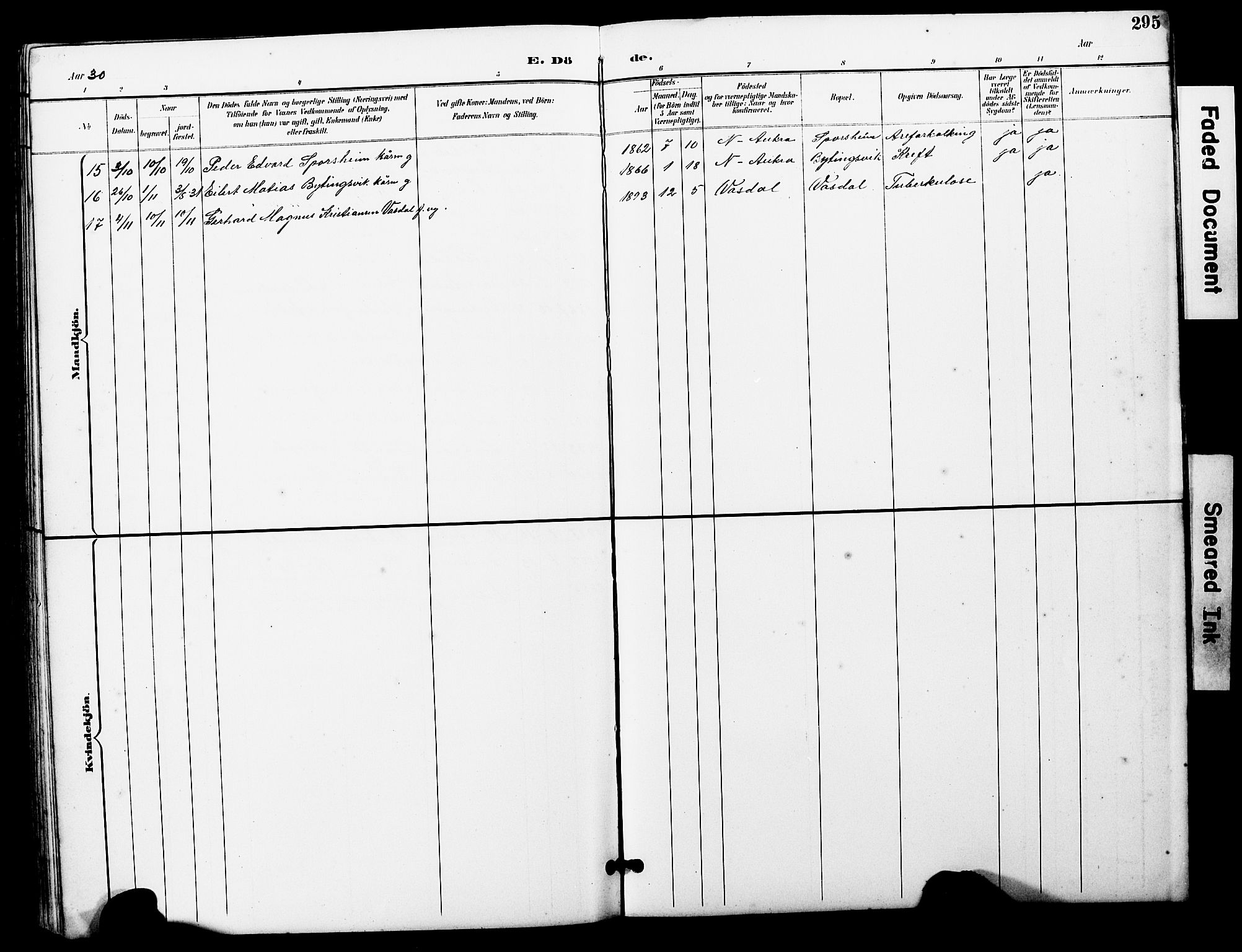 Ministerialprotokoller, klokkerbøker og fødselsregistre - Møre og Romsdal, SAT/A-1454/560/L0725: Klokkerbok nr. 560C02, 1895-1930, s. 295