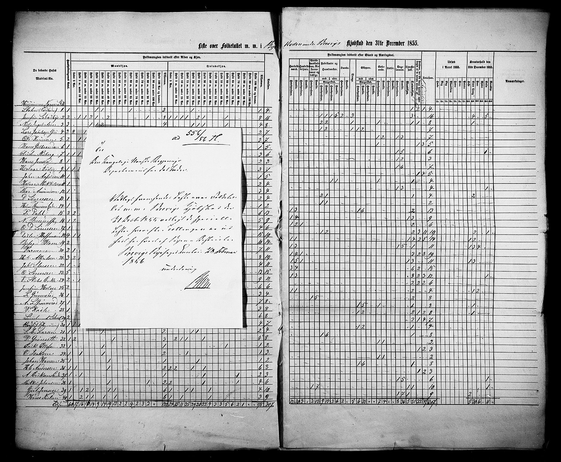 , Folketelling 1855 for 0804 Eidanger prestegjeld, Brevik kjøpstad, 1855, s. 3