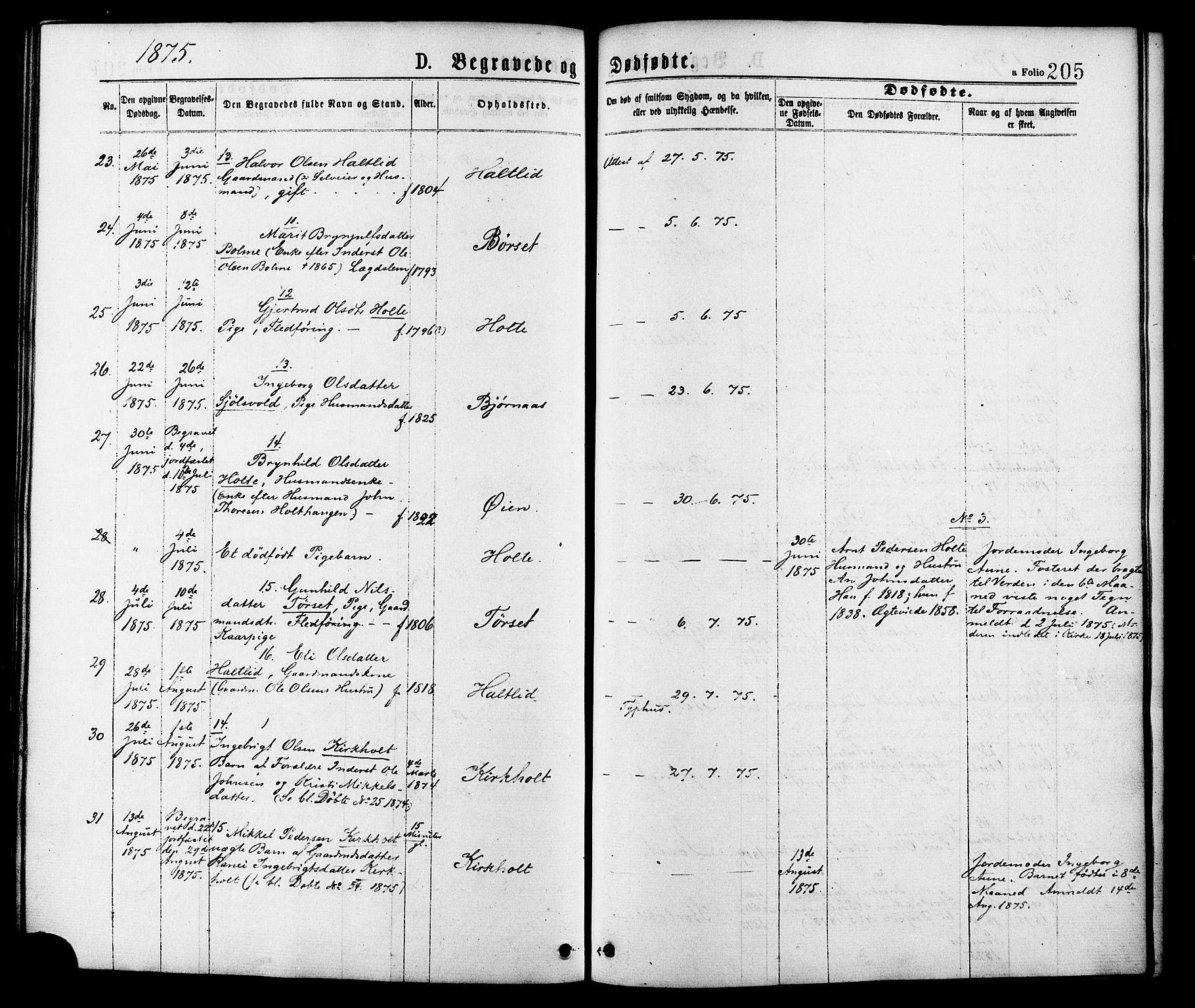 Ministerialprotokoller, klokkerbøker og fødselsregistre - Møre og Romsdal, SAT/A-1454/598/L1068: Ministerialbok nr. 598A02, 1872-1881, s. 205