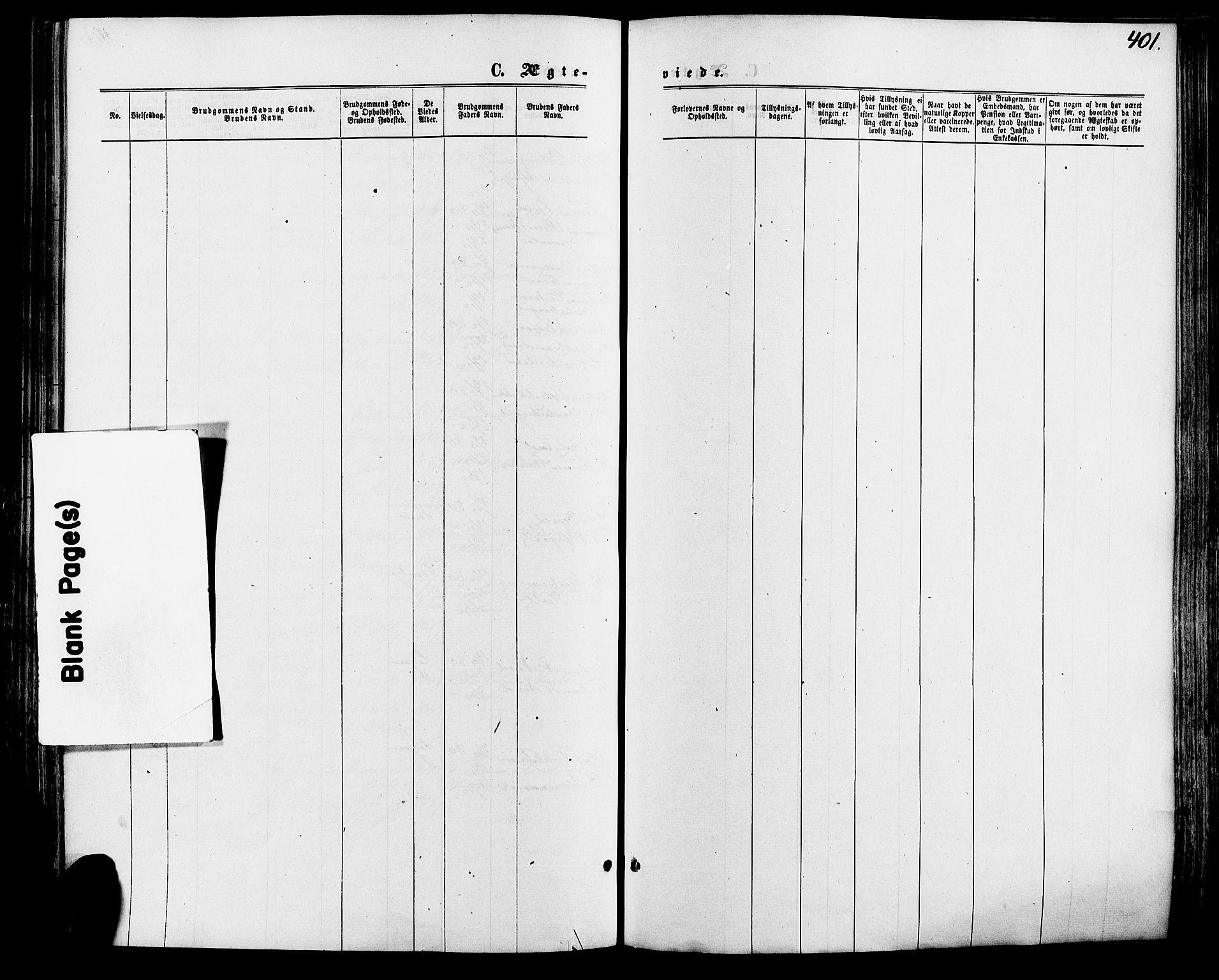 Vinger prestekontor, SAH/PREST-024/H/Ha/Haa/L0012: Ministerialbok nr. 12, 1871-1880, s. 401