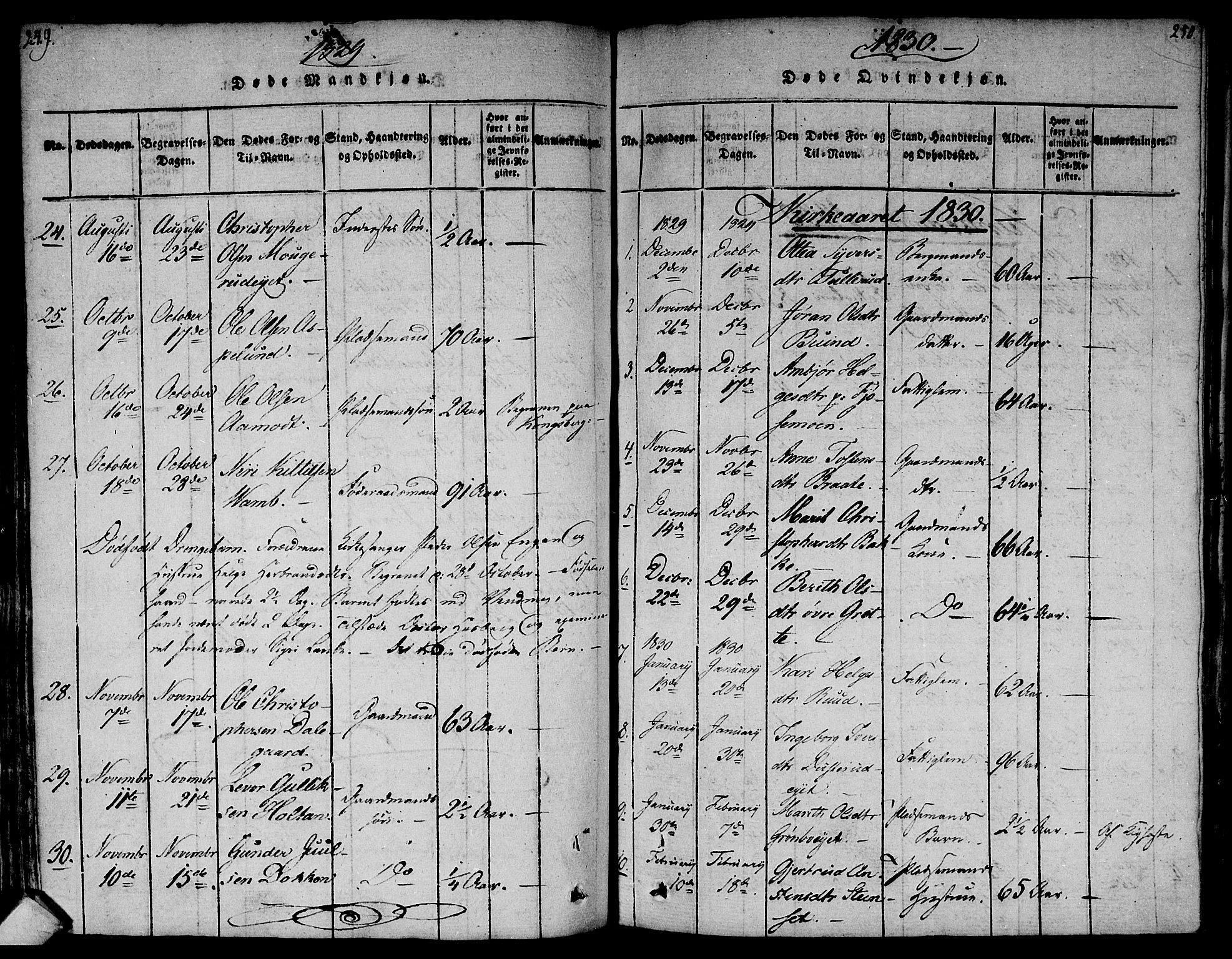 Flesberg kirkebøker, AV/SAKO-A-18/F/Fa/L0005: Ministerialbok nr. I 5, 1816-1834, s. 249-250