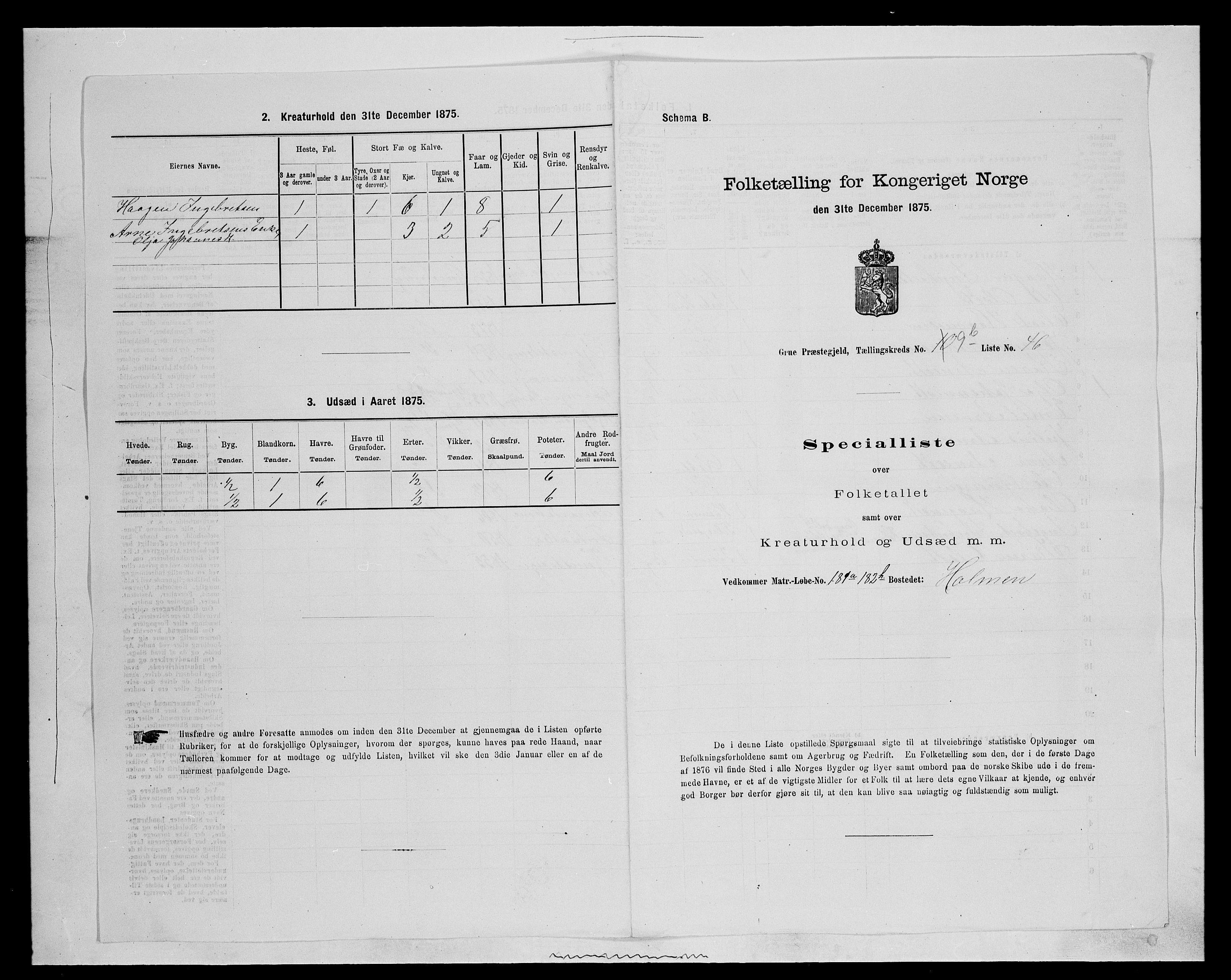 SAH, Folketelling 1875 for 0423P Grue prestegjeld, 1875, s. 1815