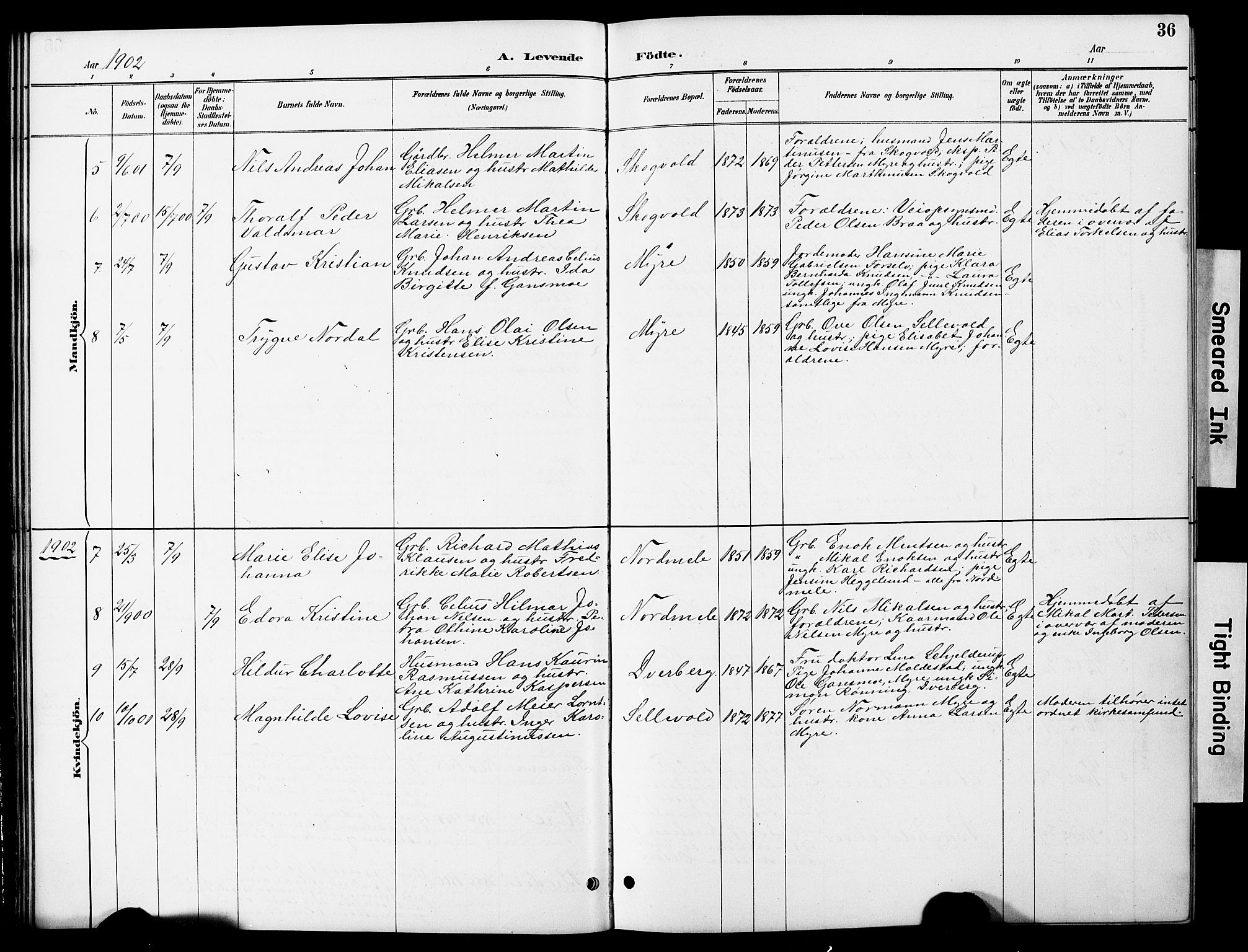 Ministerialprotokoller, klokkerbøker og fødselsregistre - Nordland, SAT/A-1459/897/L1413: Klokkerbok nr. 897C03, 1887-1903, s. 36