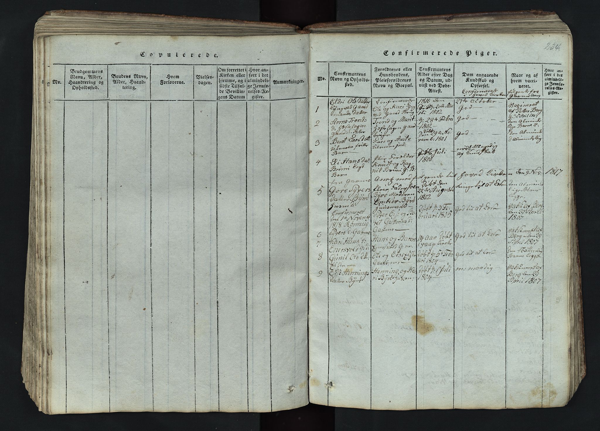 Lom prestekontor, AV/SAH-PREST-070/L/L0002: Klokkerbok nr. 2, 1815-1844, s. 234