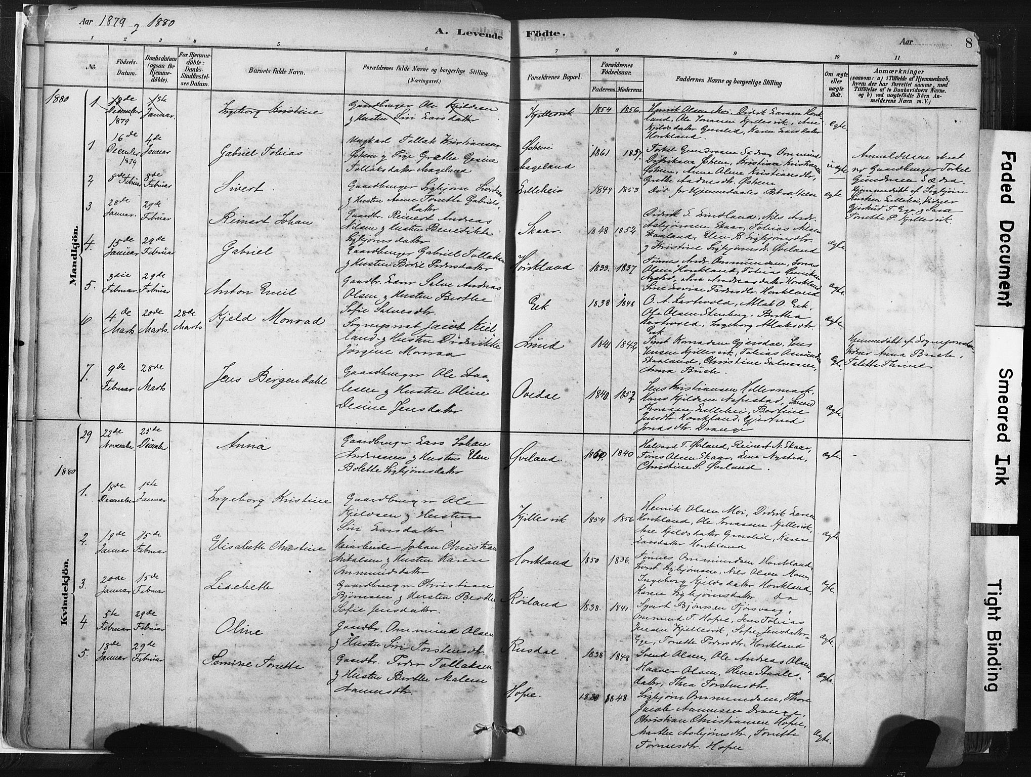 Lund sokneprestkontor, AV/SAST-A-101809/S06/L0011: Ministerialbok nr. A 10, 1877-1904, s. 8