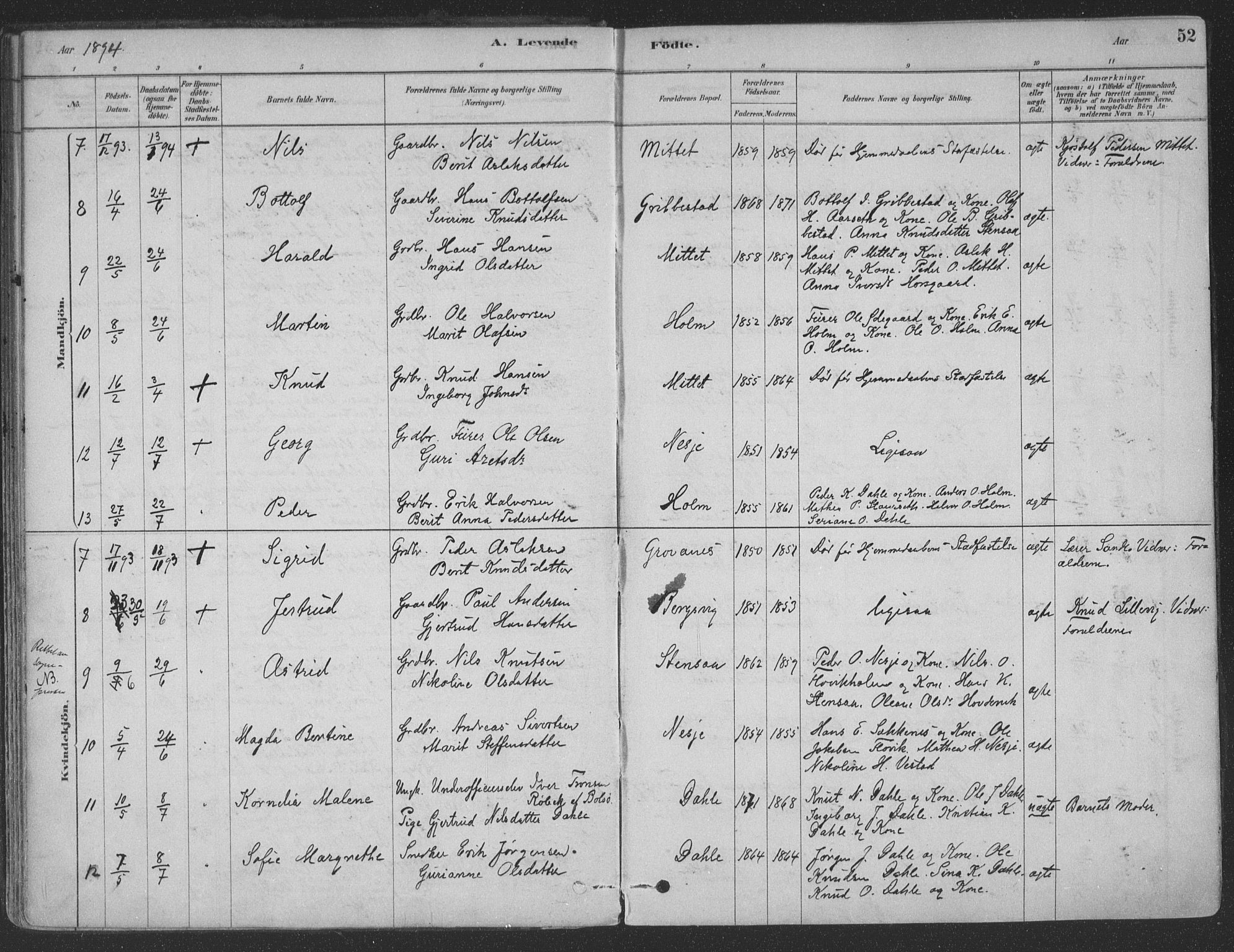 Ministerialprotokoller, klokkerbøker og fødselsregistre - Møre og Romsdal, SAT/A-1454/547/L0604: Ministerialbok nr. 547A06, 1878-1906, s. 52