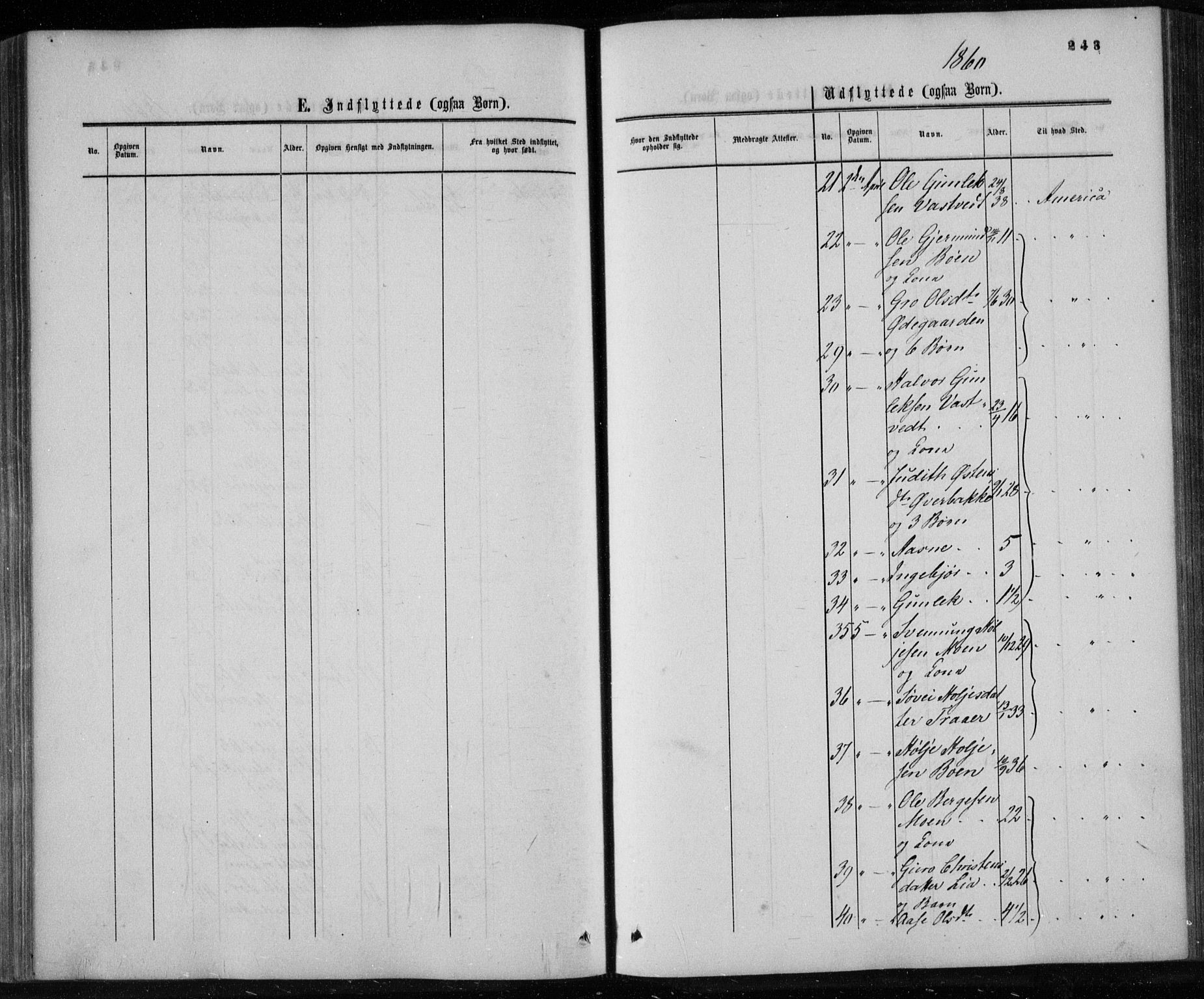Gransherad kirkebøker, SAKO/A-267/F/Fa/L0003: Ministerialbok nr. I 3, 1859-1870, s. 243