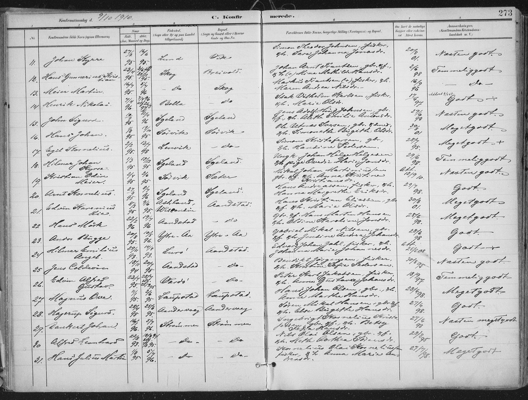 Ibestad sokneprestembete, AV/SATØ-S-0077/H/Ha/Haa/L0017kirke: Ministerialbok nr. 17, 1901-1914, s. 273