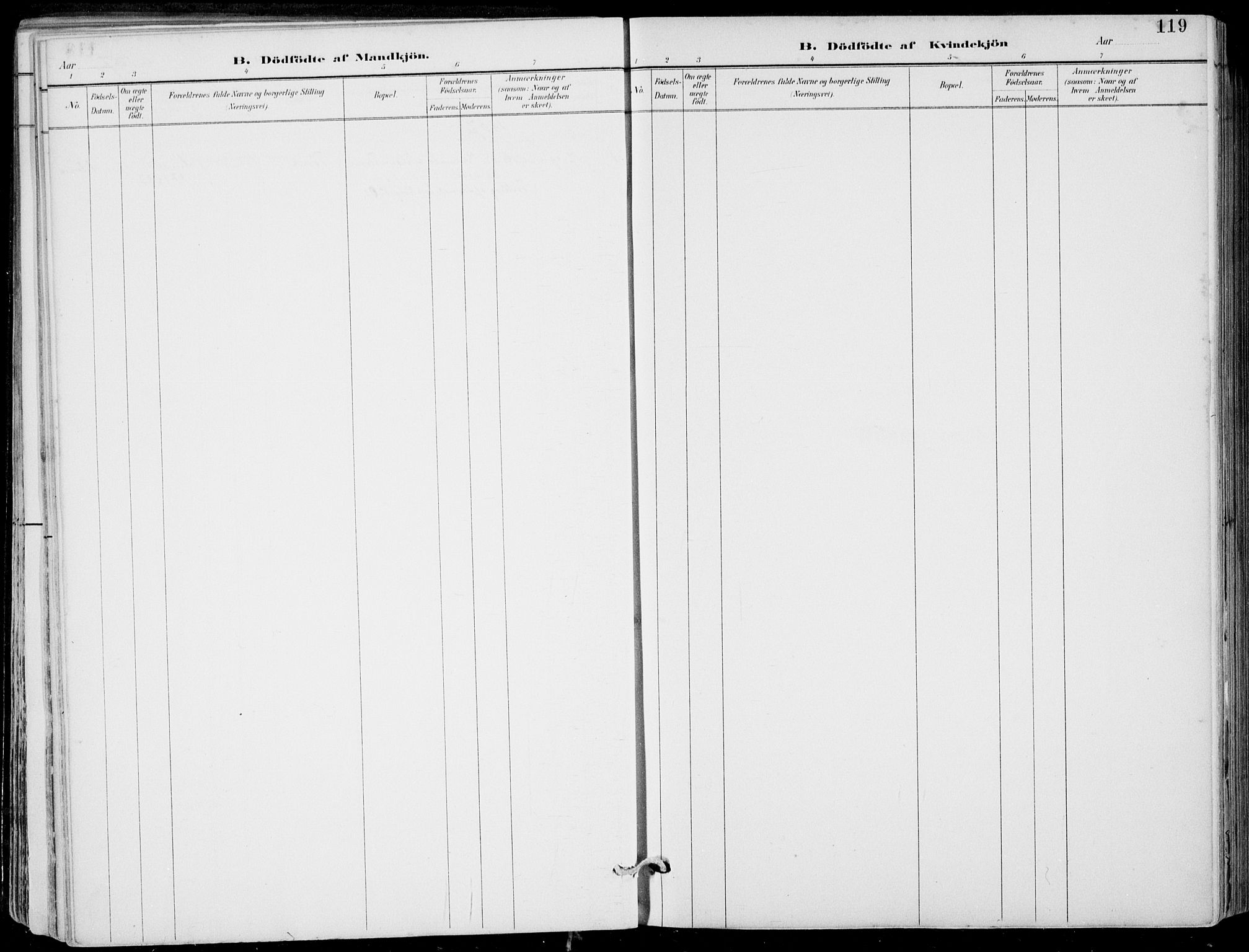 Strandebarm sokneprestembete, SAB/A-78401/H/Haa: Ministerialbok nr. E  1, 1886-1908, s. 119