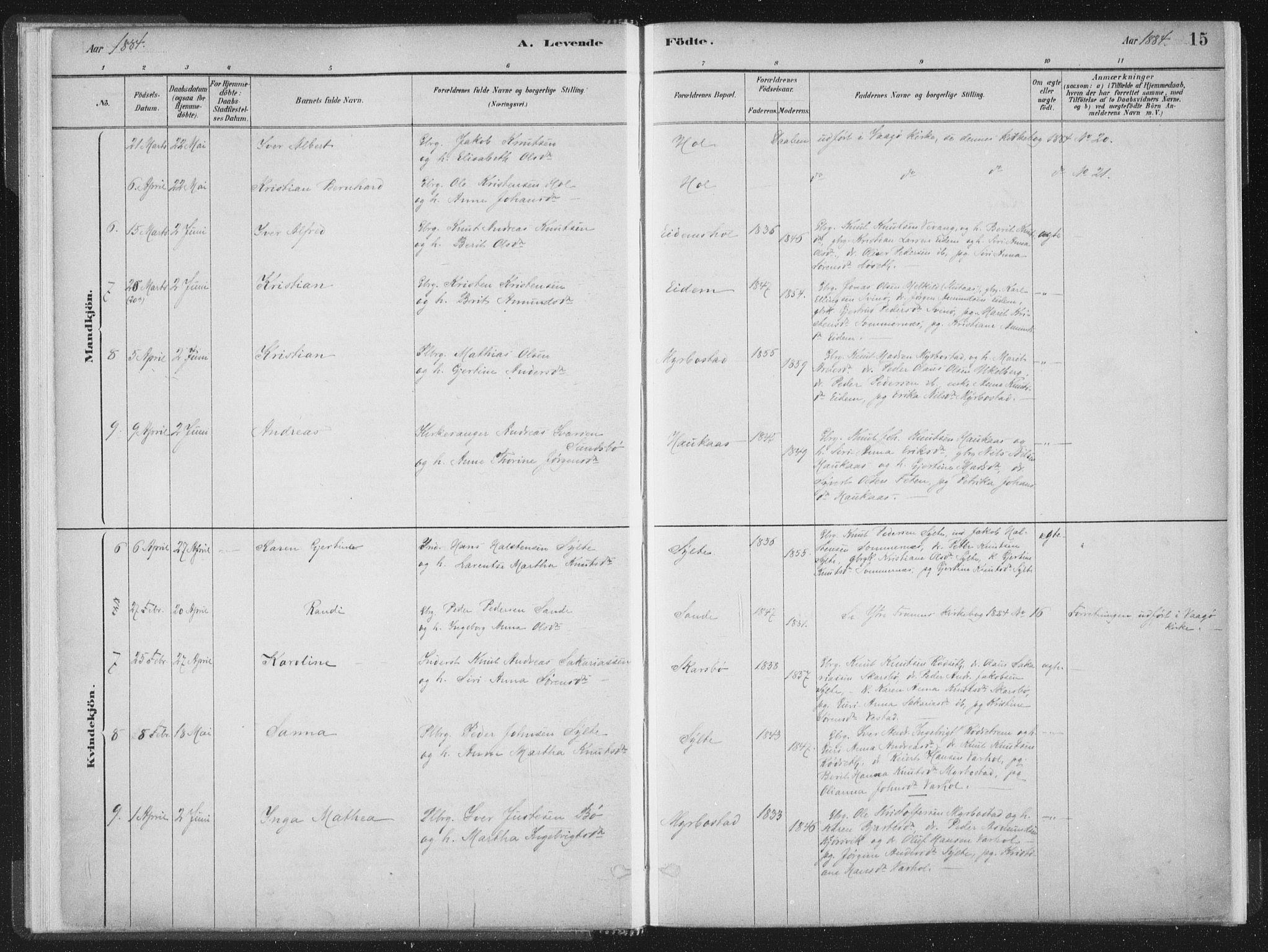 Ministerialprotokoller, klokkerbøker og fødselsregistre - Møre og Romsdal, AV/SAT-A-1454/564/L0740: Ministerialbok nr. 564A01, 1880-1899, s. 15