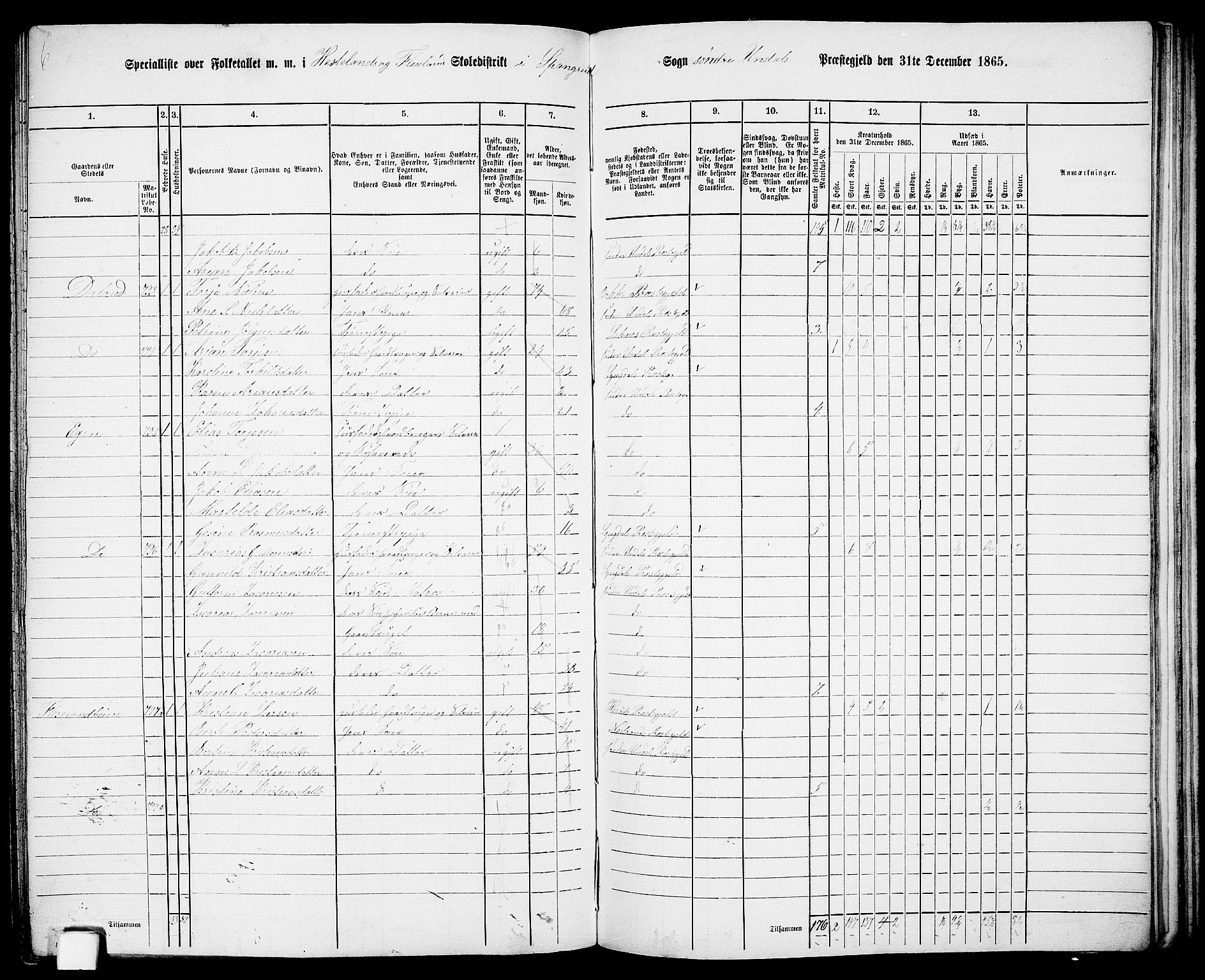 RA, Folketelling 1865 for 1029P Sør-Audnedal prestegjeld, 1865, s. 156