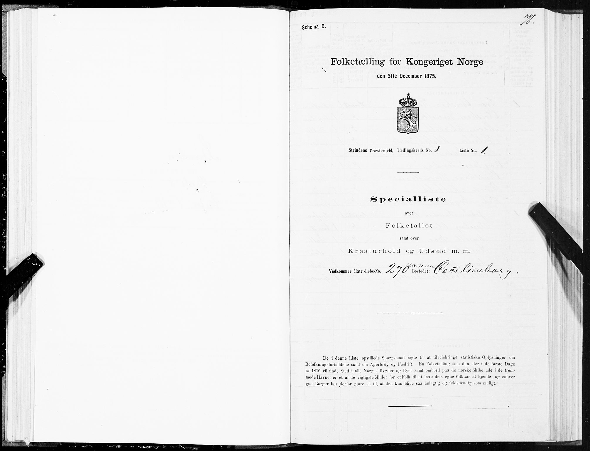 SAT, Folketelling 1875 for 1660P Strinda prestegjeld, 1875, s. 4078