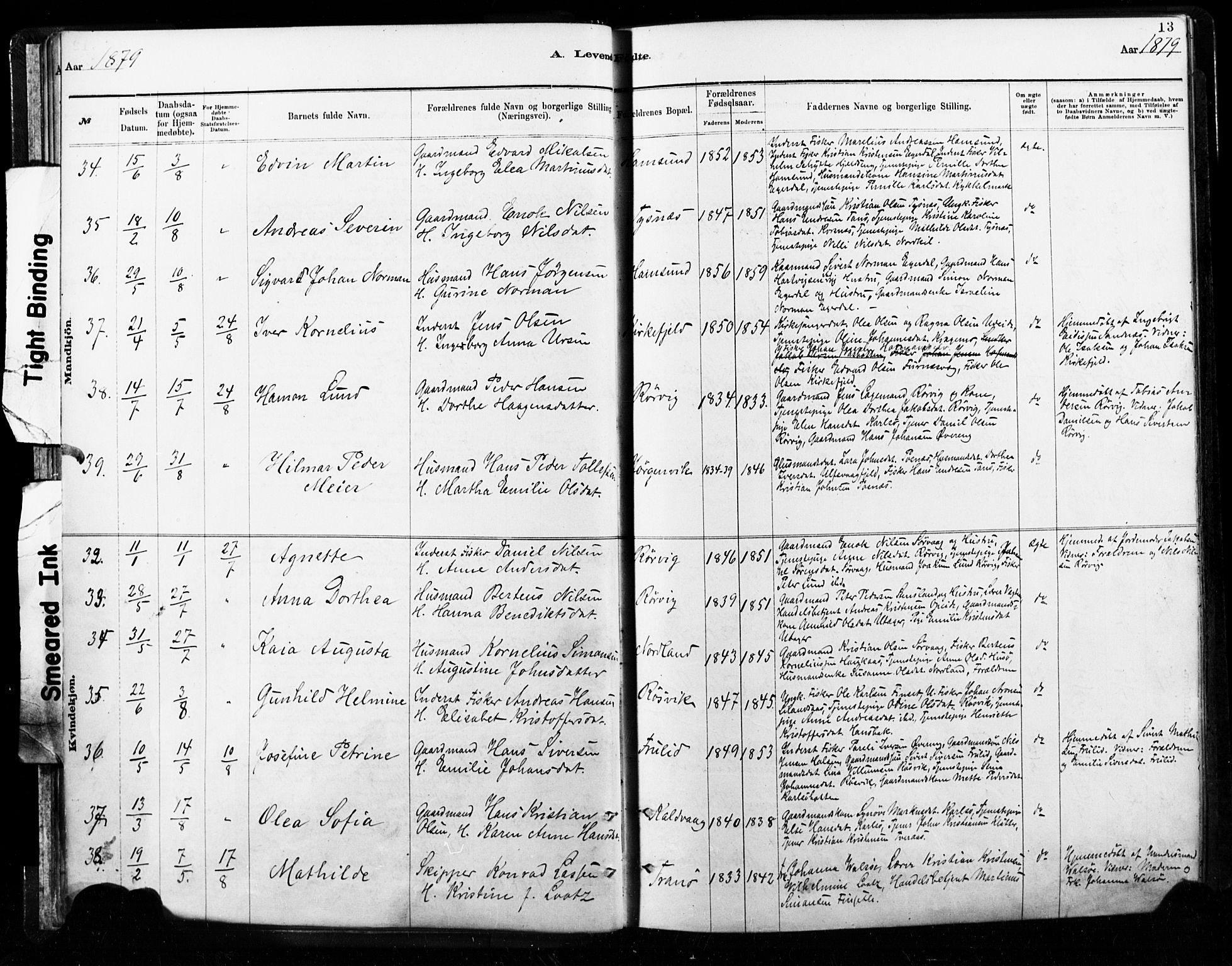 Ministerialprotokoller, klokkerbøker og fødselsregistre - Nordland, AV/SAT-A-1459/859/L0846: Ministerialbok nr. 859A06, 1878-1889, s. 13