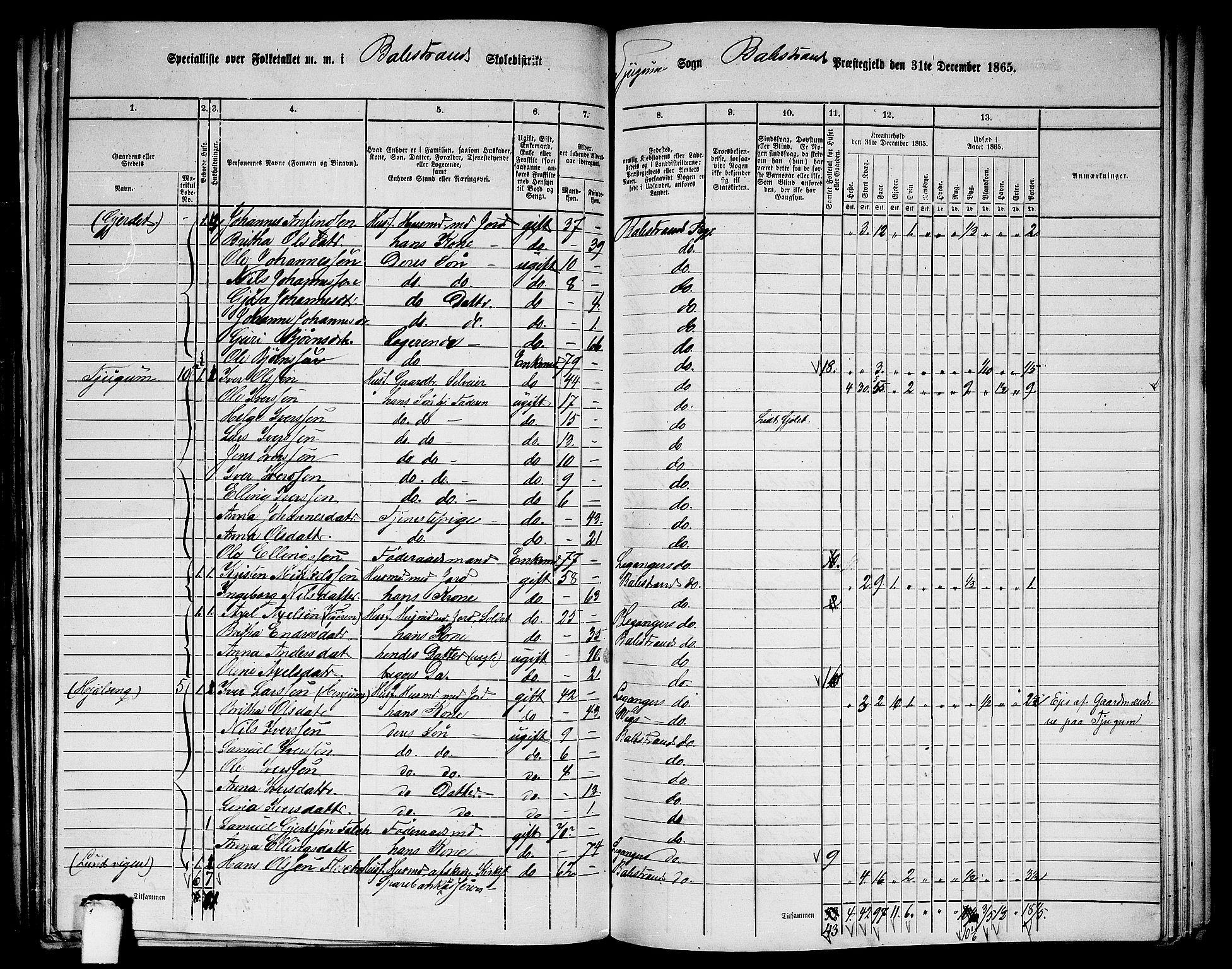 RA, Folketelling 1865 for 1418P Balestrand prestegjeld, 1865, s. 24