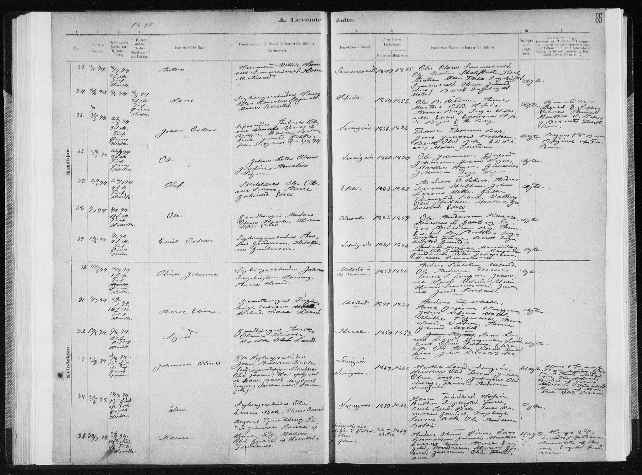 Ministerialprotokoller, klokkerbøker og fødselsregistre - Sør-Trøndelag, AV/SAT-A-1456/668/L0818: Klokkerbok nr. 668C07, 1885-1898, s. 85