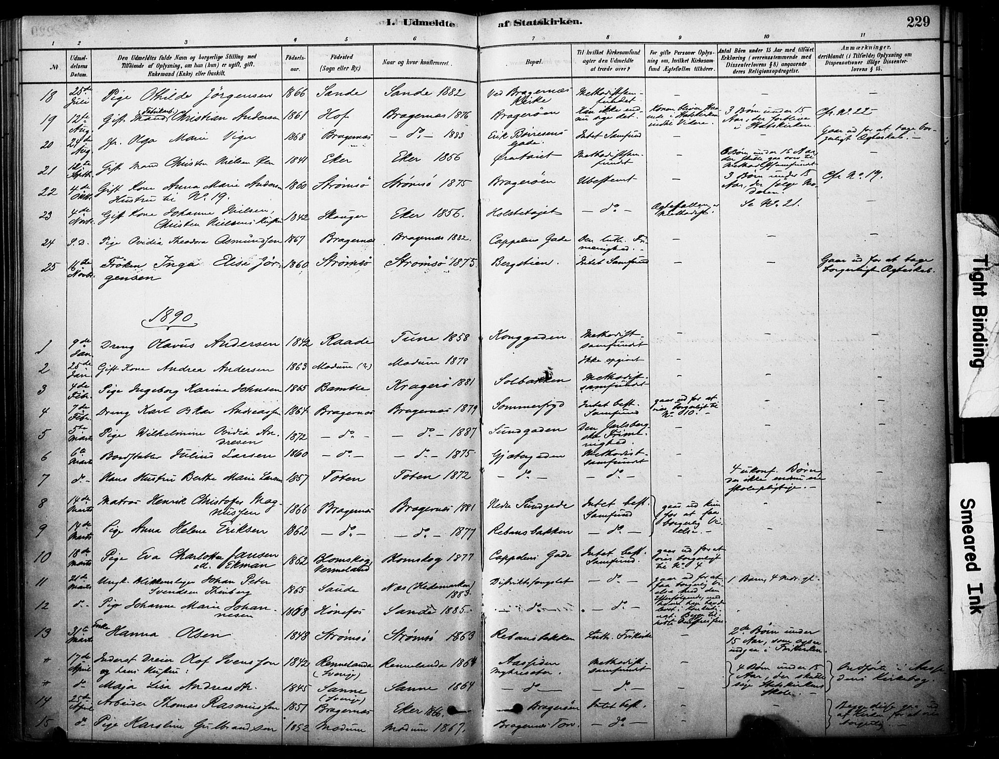 Bragernes kirkebøker, AV/SAKO-A-6/F/Fc/L0005: Ministerialbok nr. III 5, 1878-1890, s. 229