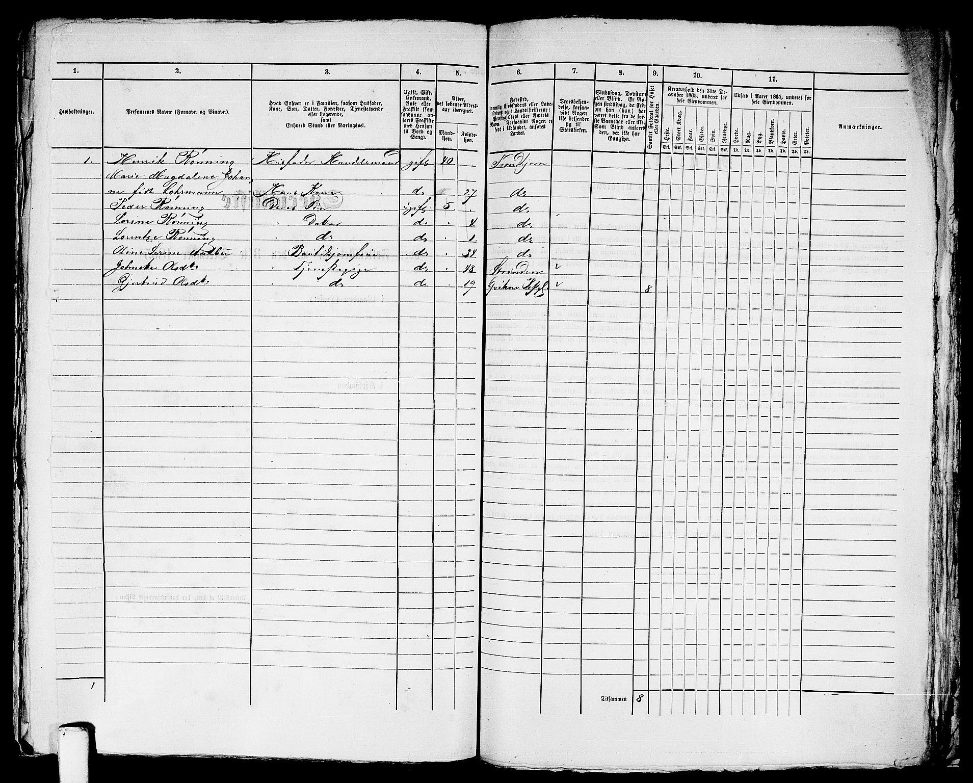 RA, Folketelling 1865 for 1601 Trondheim kjøpstad, 1865, s. 2503