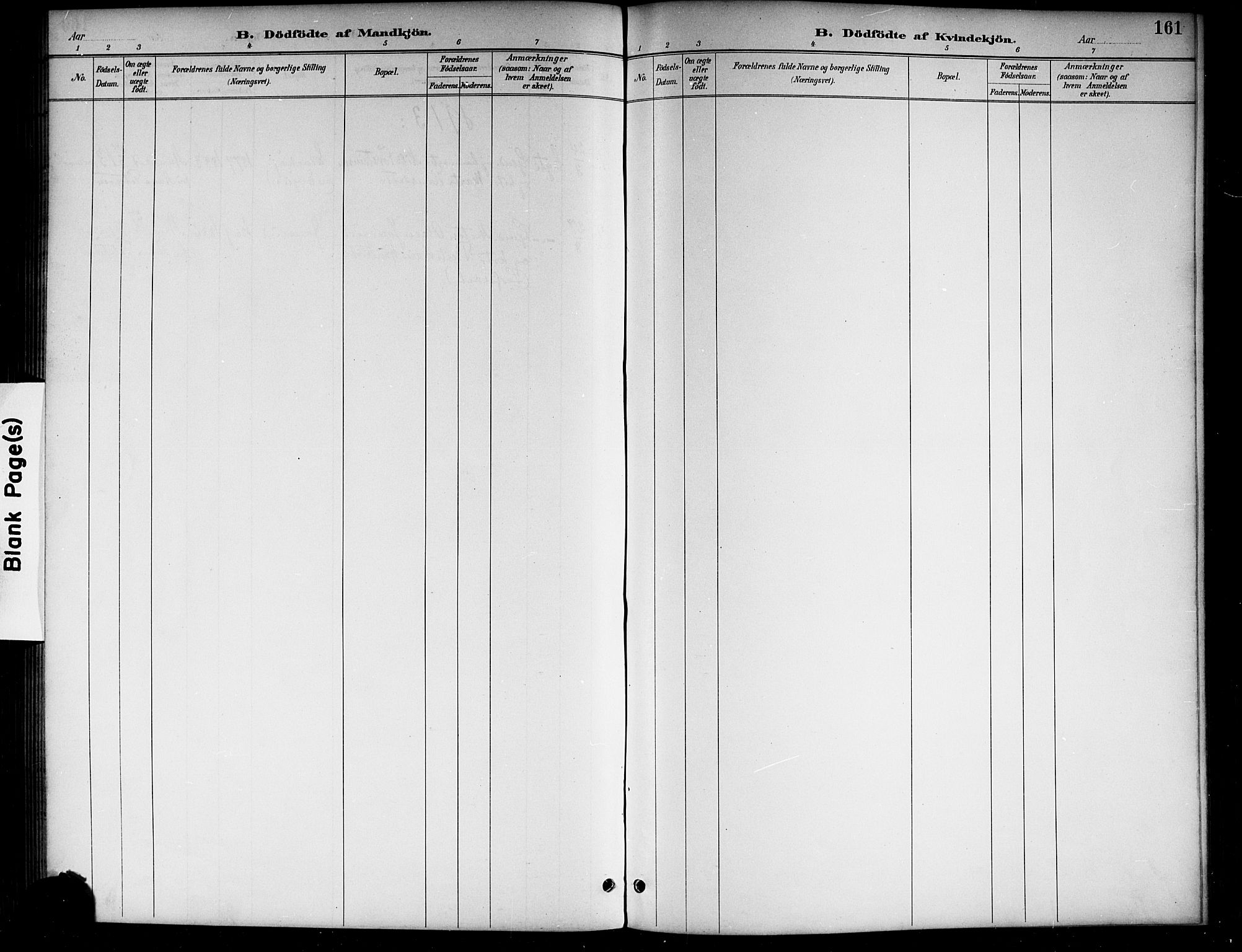 Lunder kirkebøker, AV/SAKO-A-629/G/Ga/L0004: Klokkerbok nr. I 4, 1889-1917, s. 161
