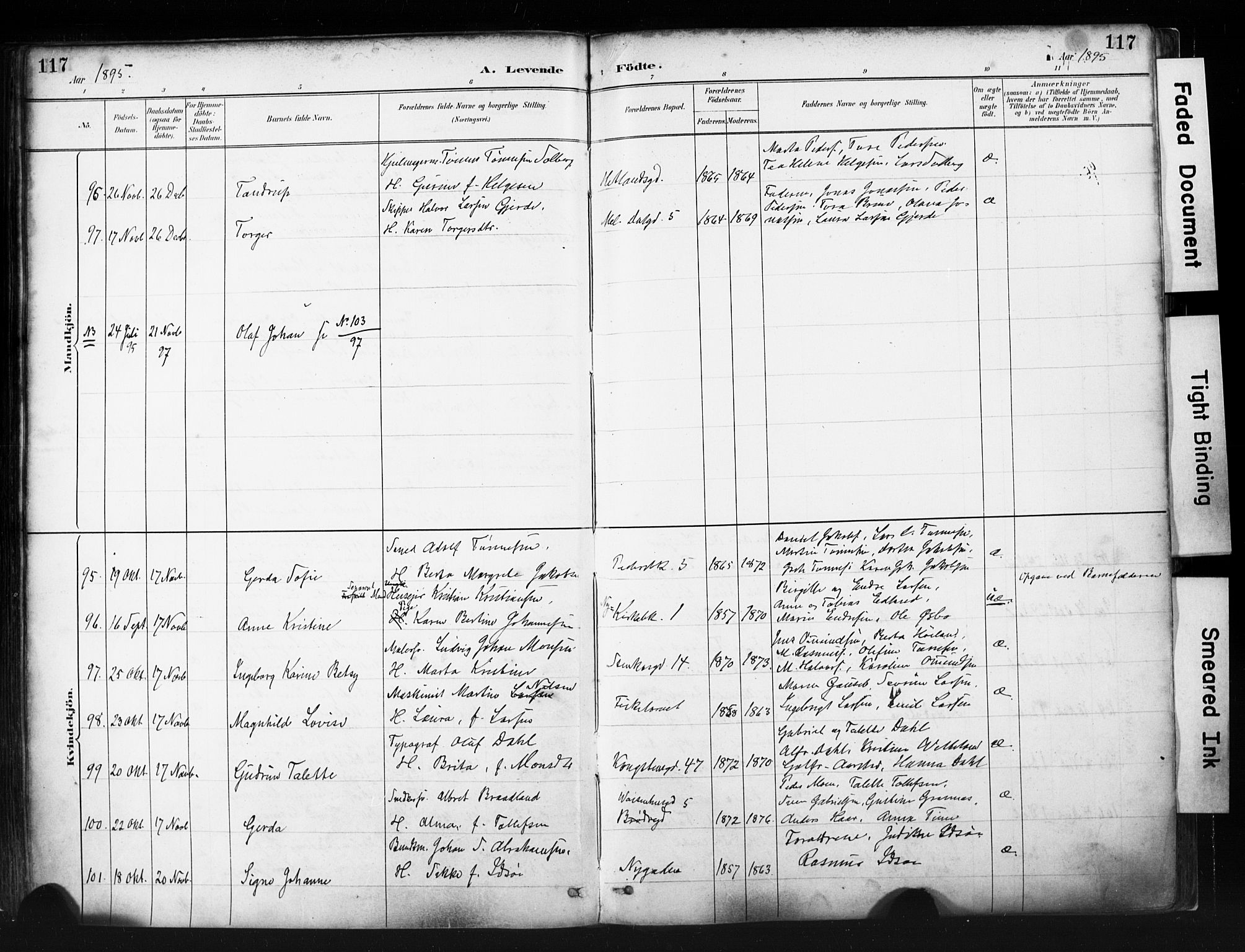 St. Petri sokneprestkontor, AV/SAST-A-101813/001/30/30BA/L0019: Ministerialbok nr. A 20, 1888-1901, s. 117