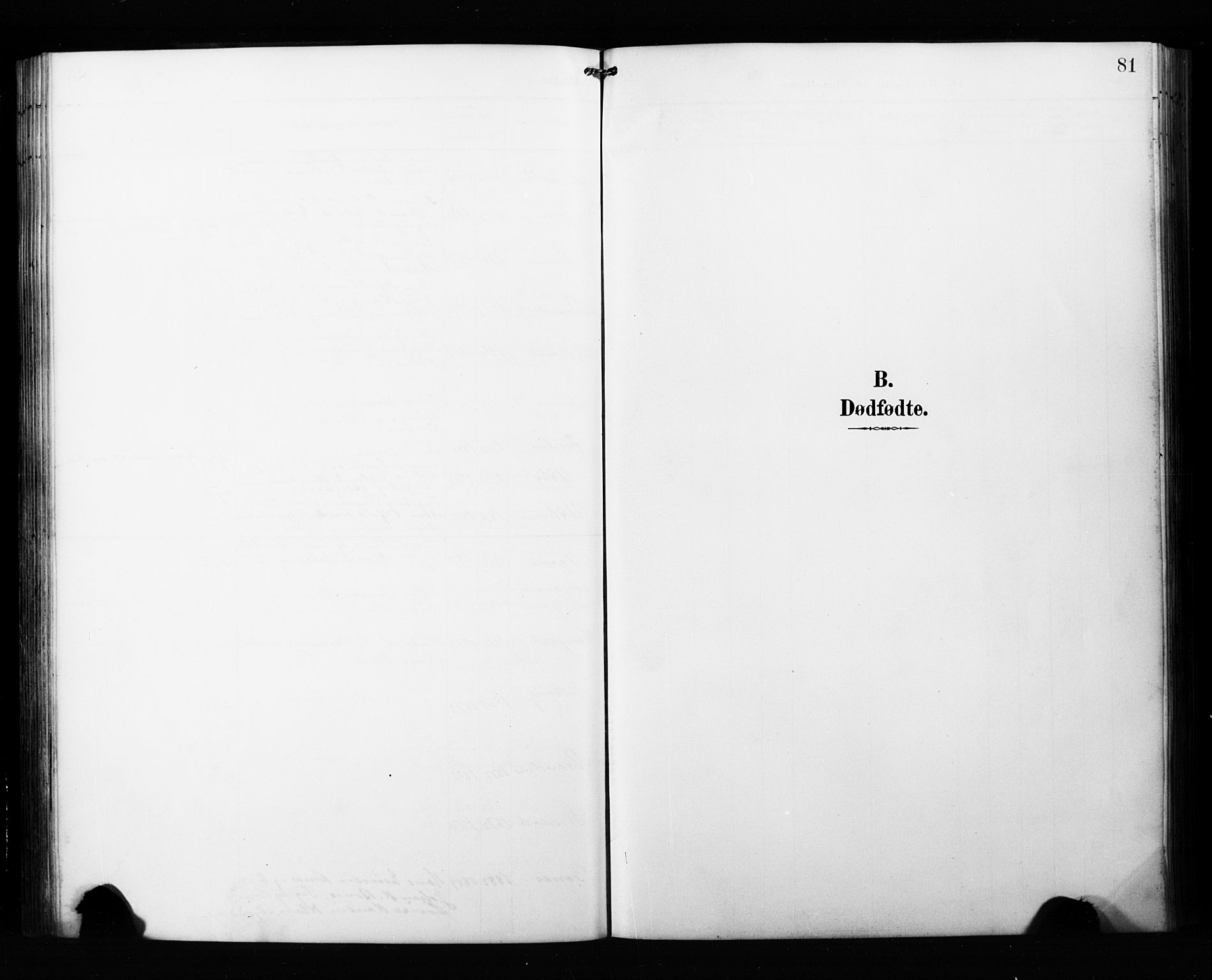 Målselv sokneprestembete, AV/SATØ-S-1311/G/Ga/Gab/L0008klokker: Klokkerbok nr. 8, 1895-1913, s. 81