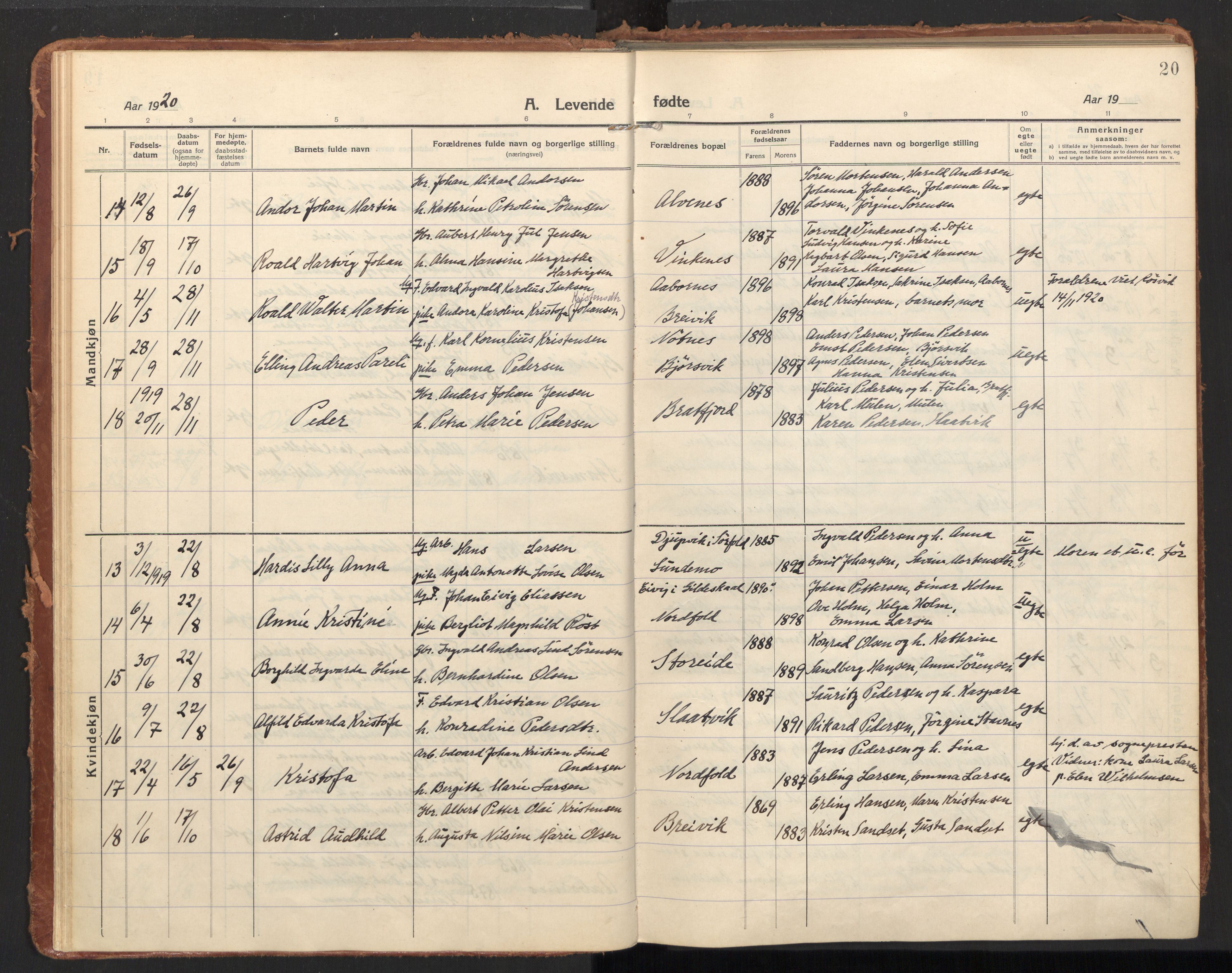 Ministerialprotokoller, klokkerbøker og fødselsregistre - Nordland, AV/SAT-A-1459/858/L0833: Ministerialbok nr. 858A03, 1916-1934, s. 20