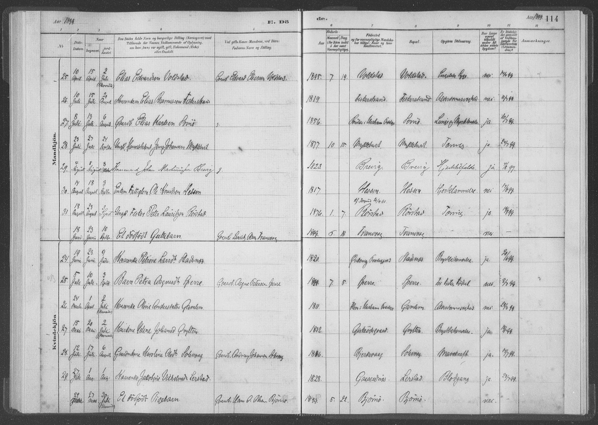 Ministerialprotokoller, klokkerbøker og fødselsregistre - Møre og Romsdal, AV/SAT-A-1454/528/L0403: Ministerialbok nr. 528A13I, 1880-1947, s. 114