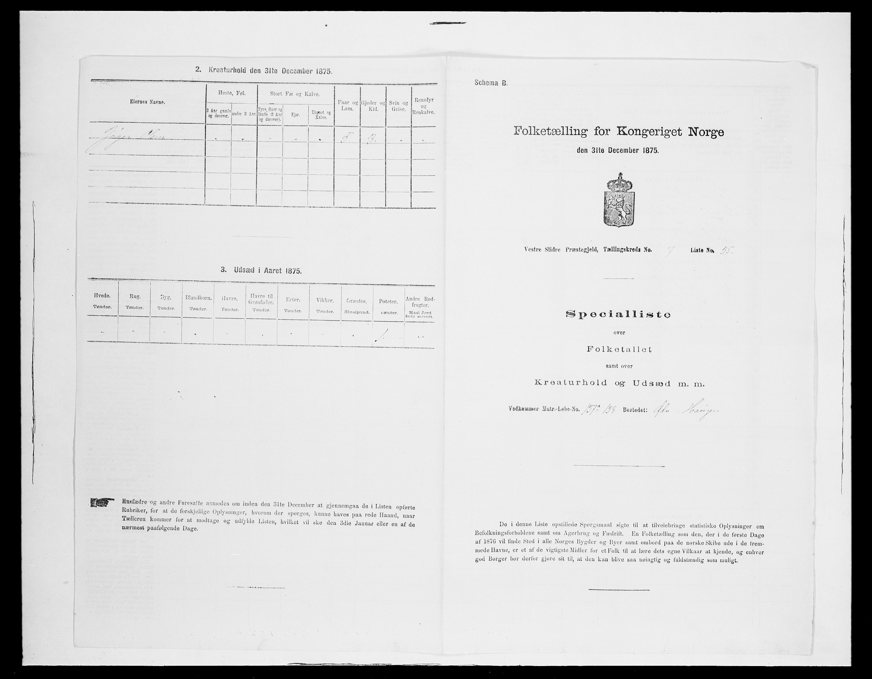 SAH, Folketelling 1875 for 0543P Vestre Slidre prestegjeld, 1875, s. 946