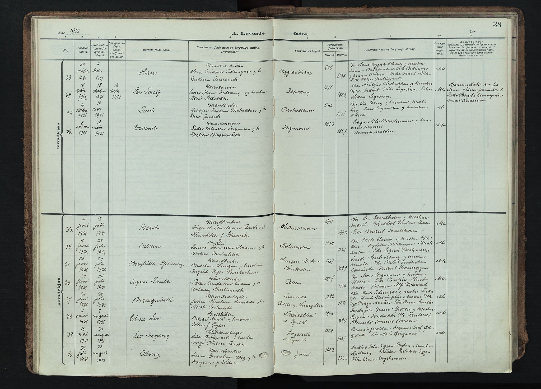 Tynset prestekontor, AV/SAH-PREST-058/H/Ha/Haa/L0026: Ministerialbok nr. 26, 1915-1929, s. 38