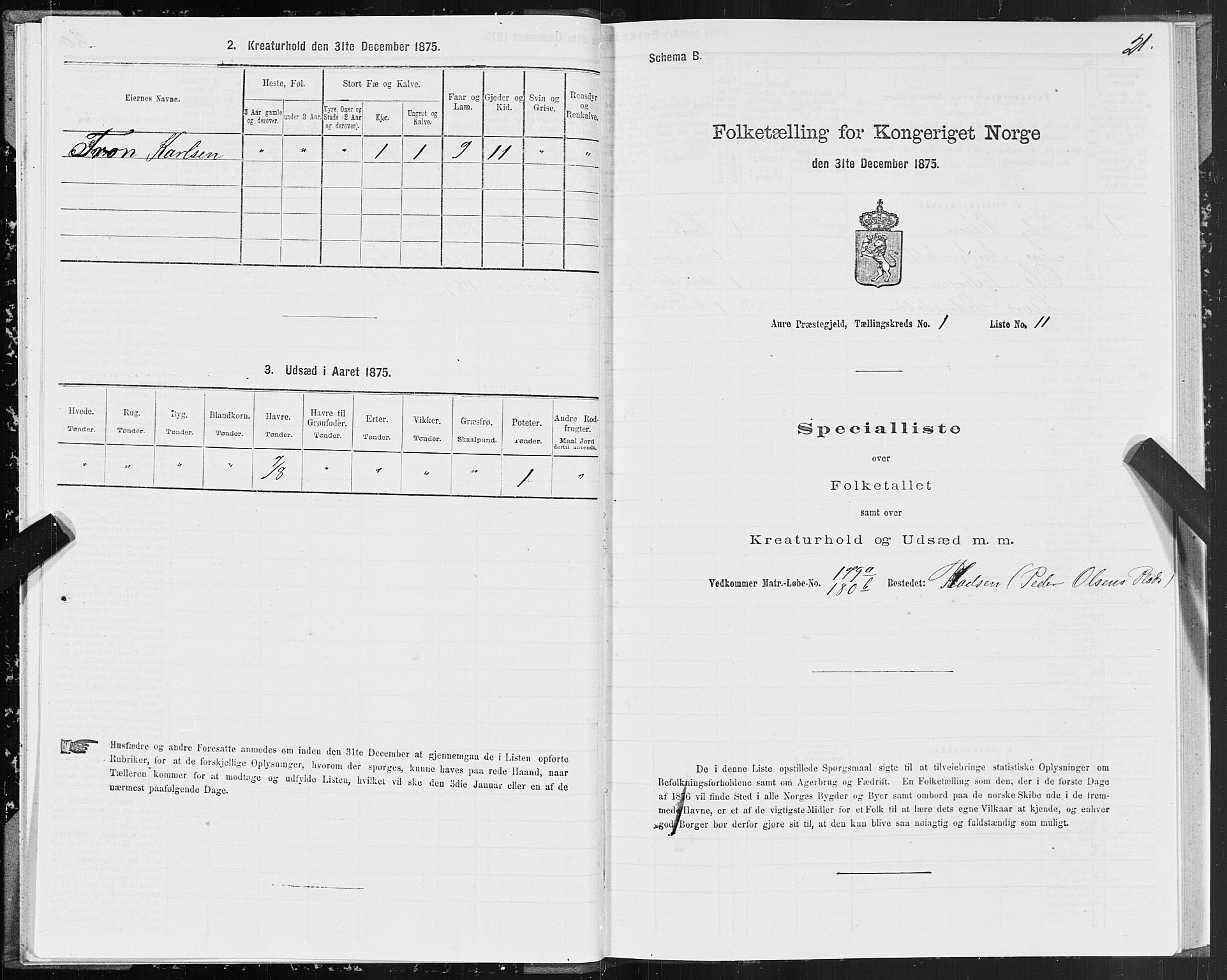 SAT, Folketelling 1875 for 1569P Aure prestegjeld, 1875, s. 1021