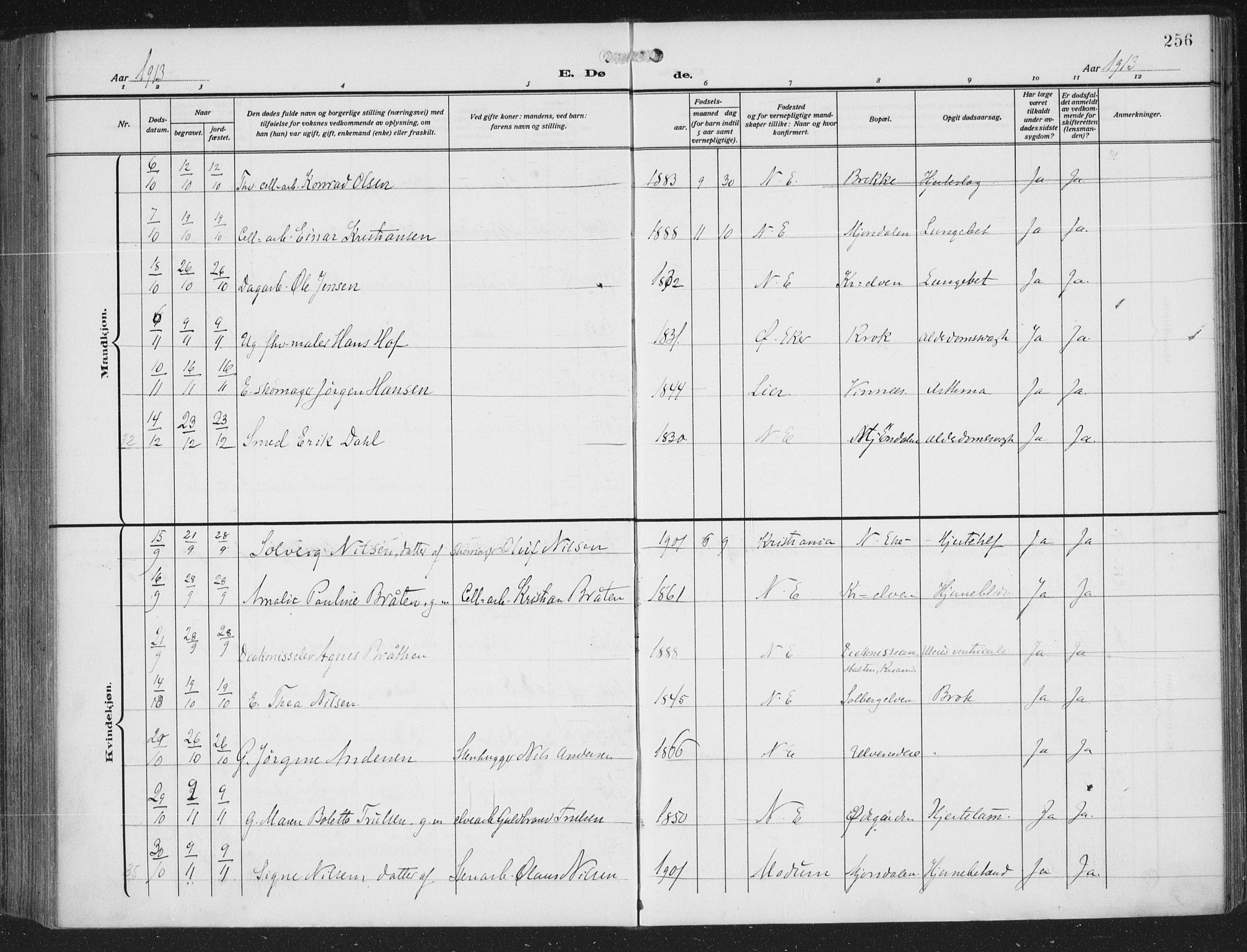 Nedre Eiker kirkebøker, AV/SAKO-A-612/F/Fa/L0007: Ministerialbok nr. 7, 1912-1918, s. 256