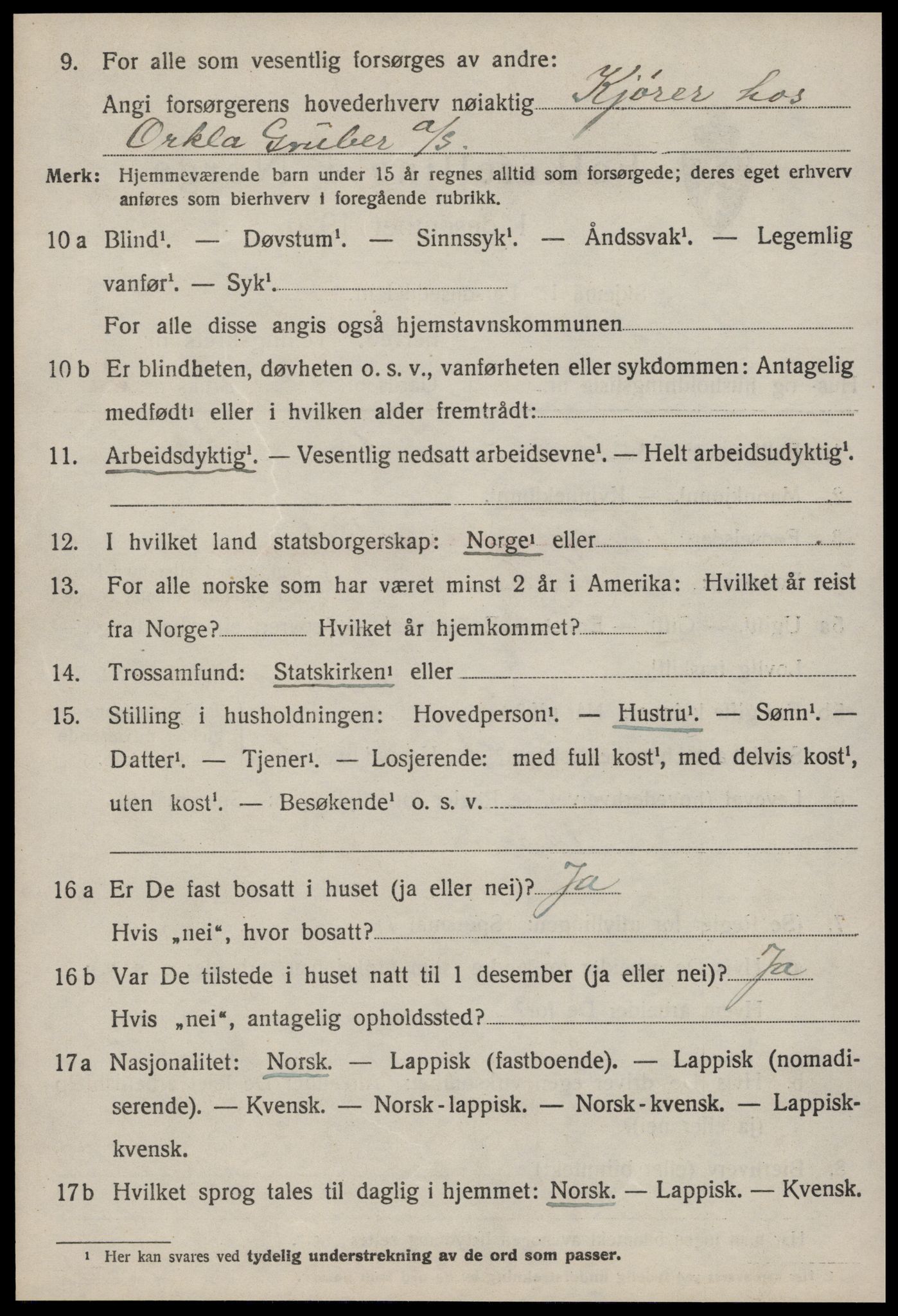 SAT, Folketelling 1920 for 1638 Orkdal herred, 1920, s. 1231