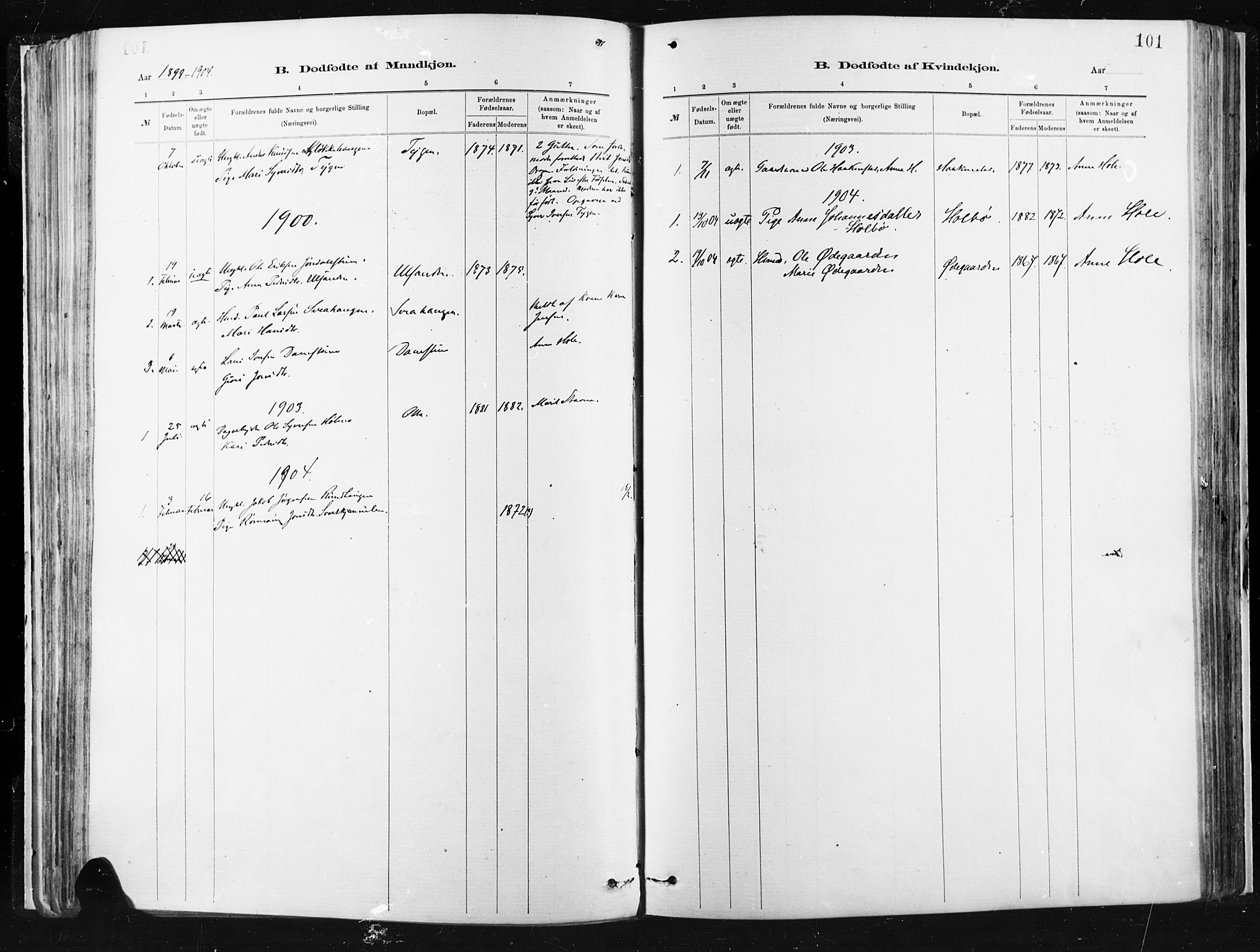 Vågå prestekontor, SAH/PREST-076/H/Ha/Haa/L0009: Ministerialbok nr. 9, 1886-1904, s. 101