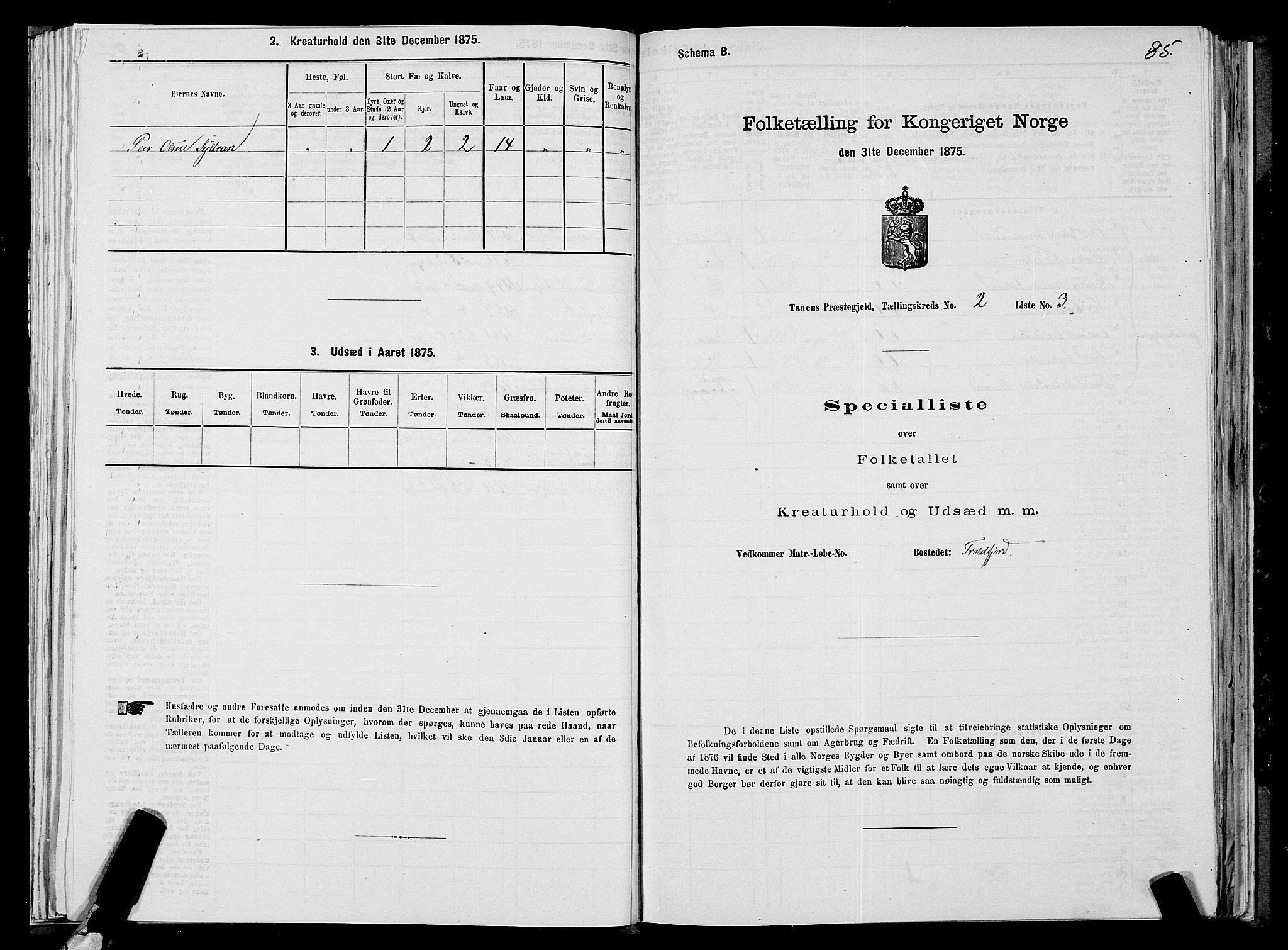 SATØ, Folketelling 1875 for 2025P Tana prestegjeld, 1875, s. 1085