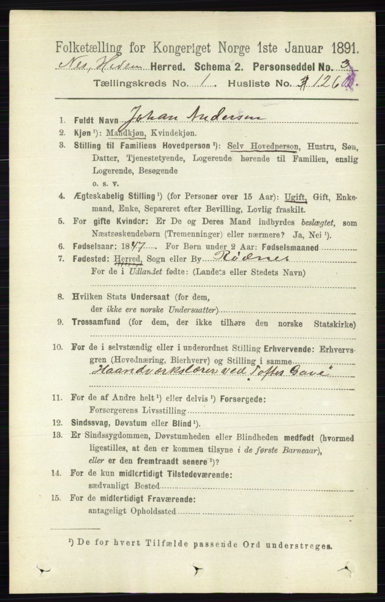 RA, Folketelling 1891 for 0411 Nes herred, 1891, s. 910