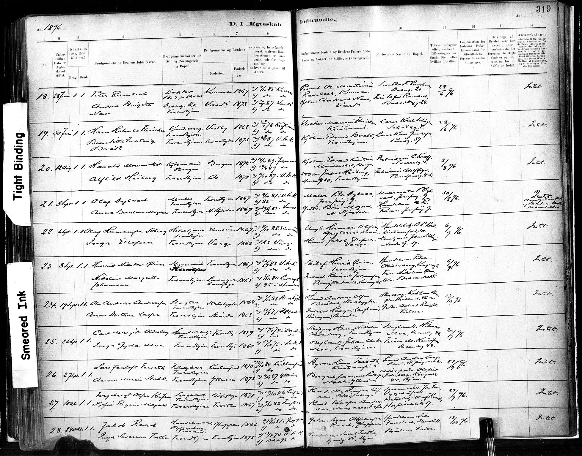 Ministerialprotokoller, klokkerbøker og fødselsregistre - Sør-Trøndelag, SAT/A-1456/602/L0119: Ministerialbok nr. 602A17, 1880-1901, s. 319