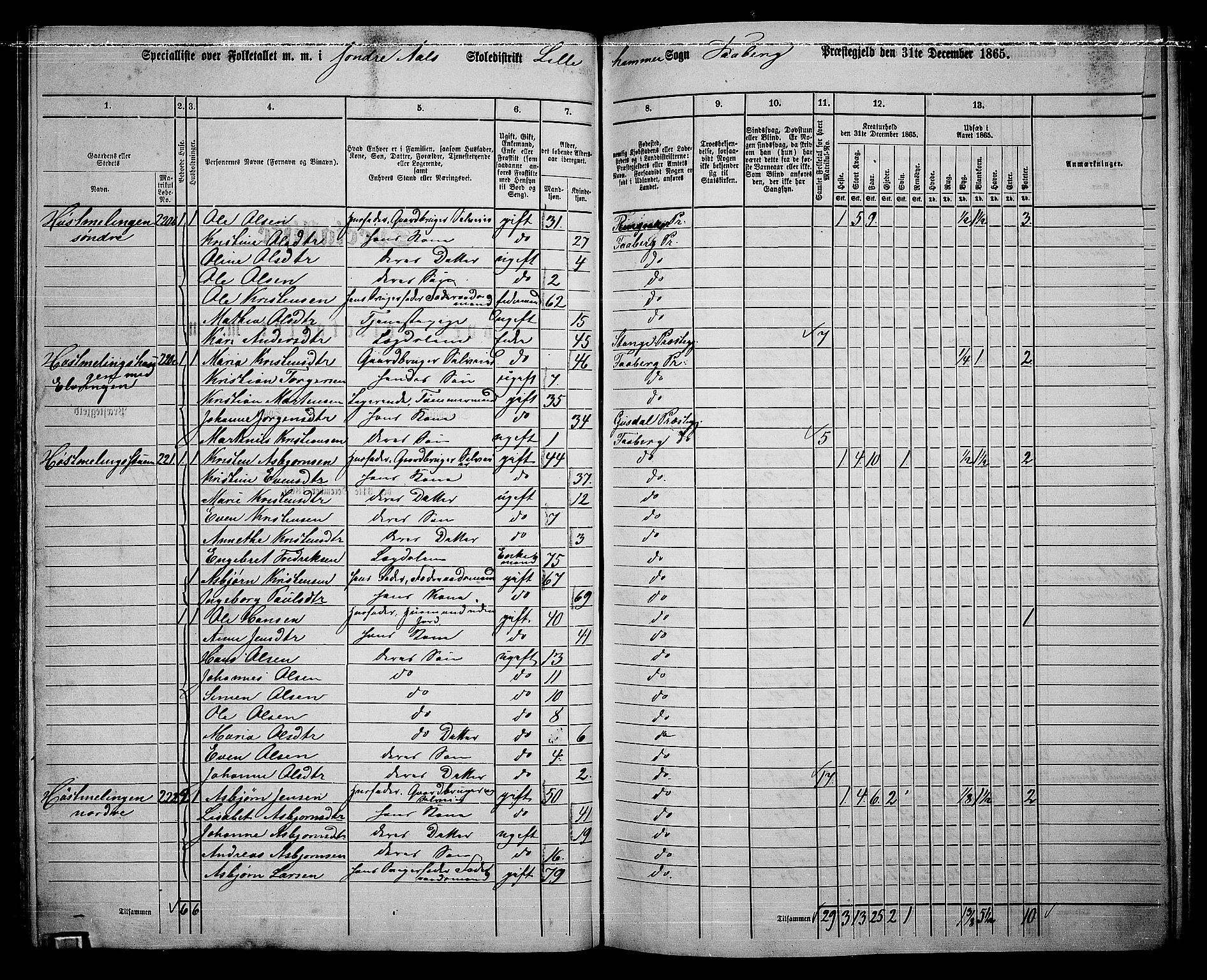 RA, Folketelling 1865 for 0524L Fåberg prestegjeld, Fåberg sokn og Lillehammer landsokn, 1865, s. 138