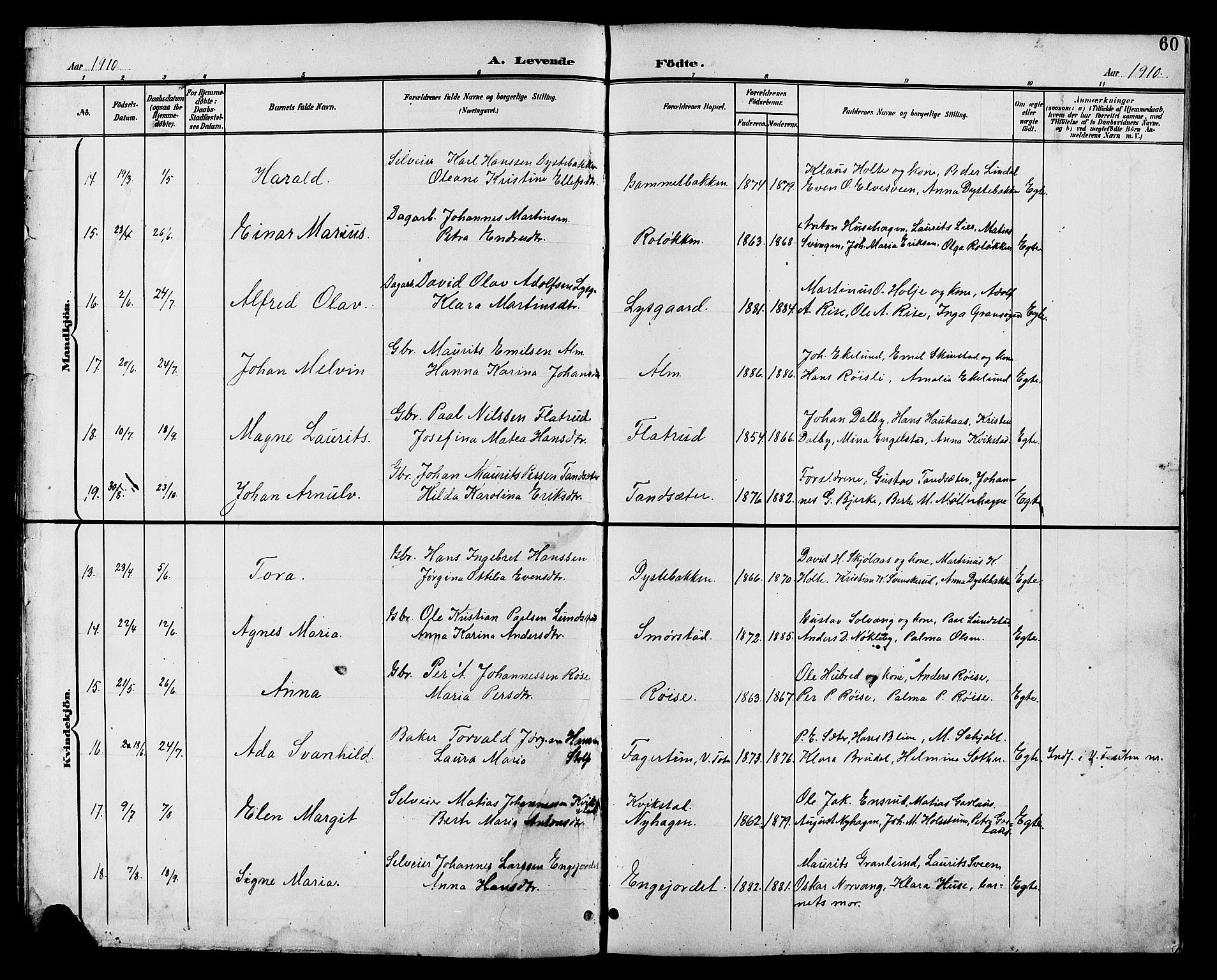 Vestre Toten prestekontor, AV/SAH-PREST-108/H/Ha/Hab/L0011: Klokkerbok nr. 11, 1901-1911, s. 60