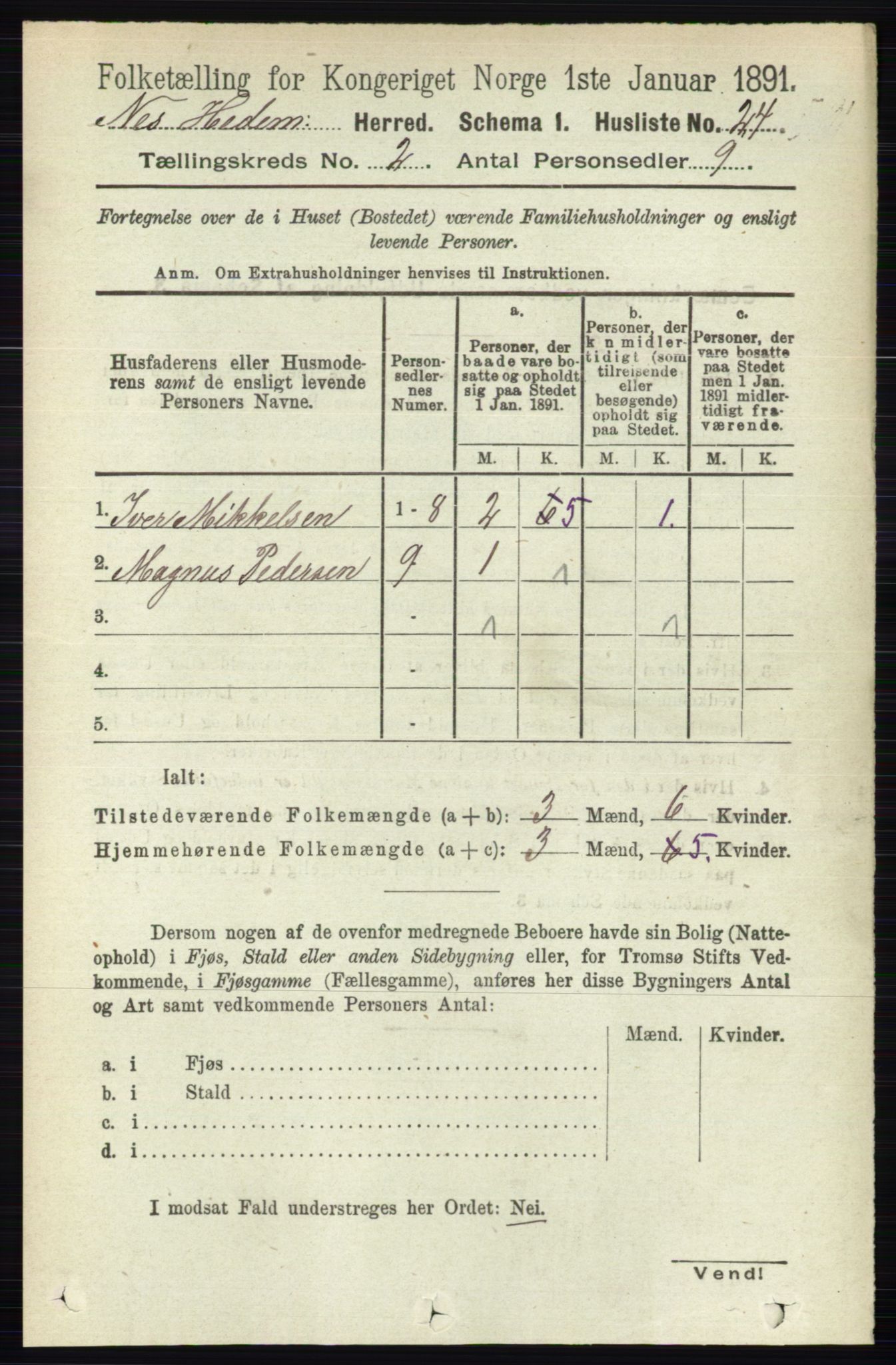 RA, Folketelling 1891 for 0411 Nes herred, 1891, s. 1028
