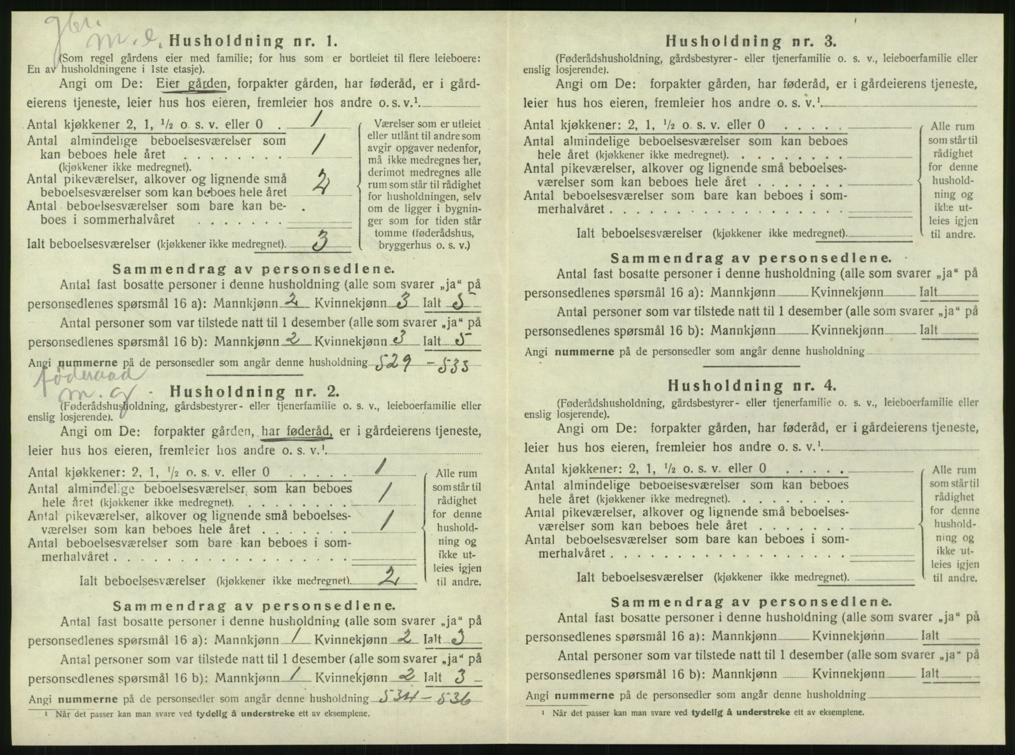 SAT, Folketelling 1920 for 1719 Skogn herred, 1920, s. 1260