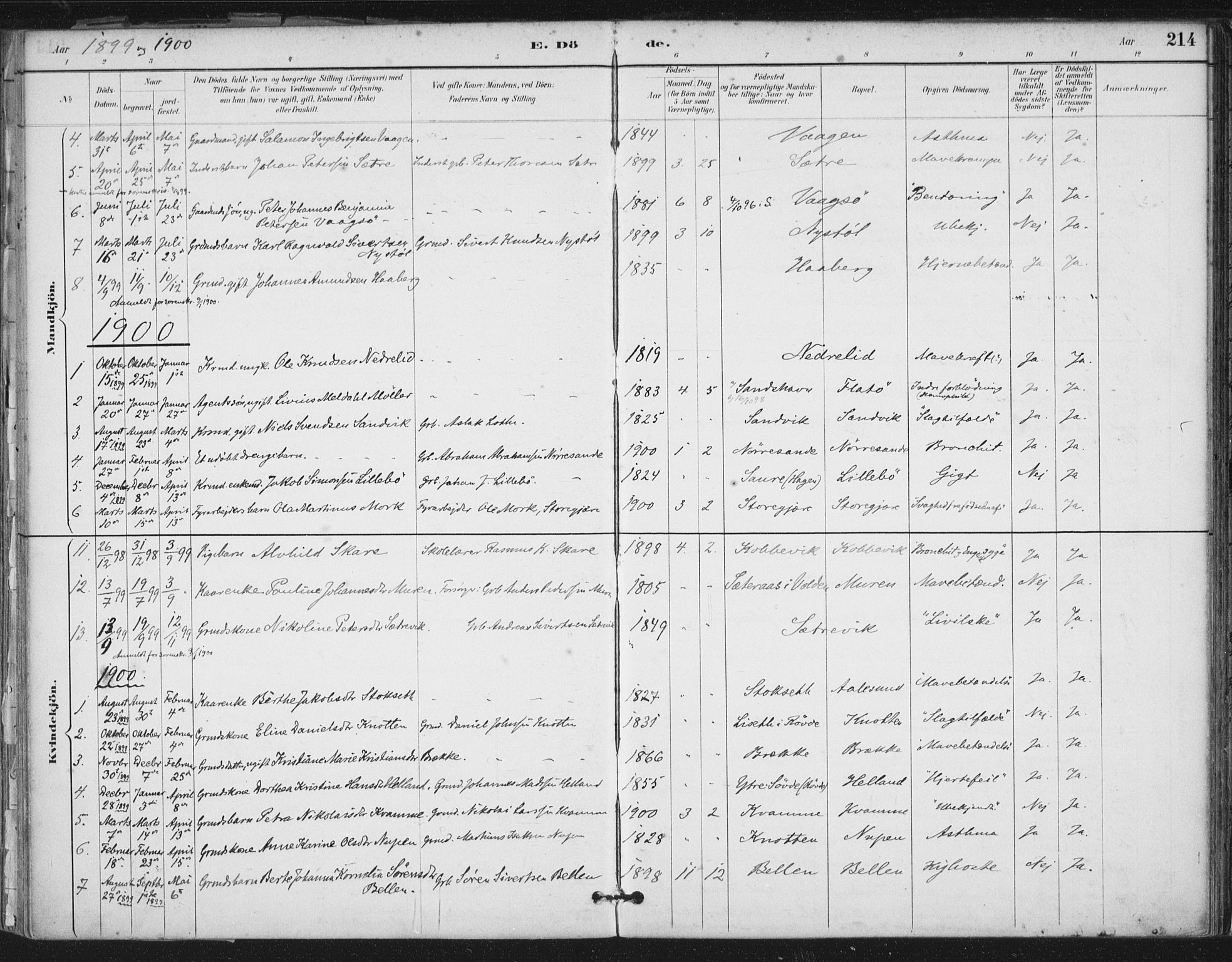 Ministerialprotokoller, klokkerbøker og fødselsregistre - Møre og Romsdal, AV/SAT-A-1454/503/L0037: Ministerialbok nr. 503A05, 1884-1900, s. 214