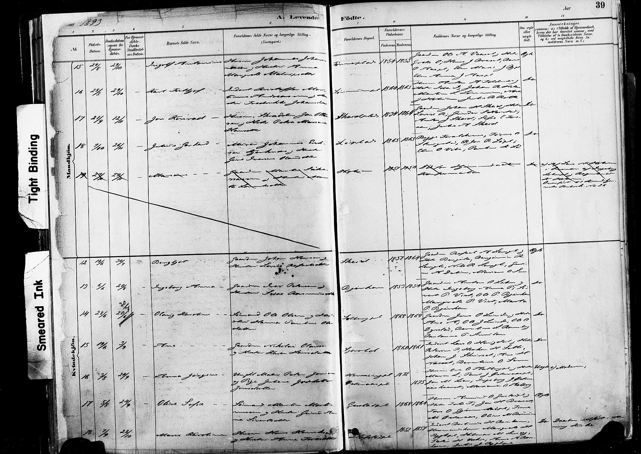 Ministerialprotokoller, klokkerbøker og fødselsregistre - Nord-Trøndelag, SAT/A-1458/735/L0351: Ministerialbok nr. 735A10, 1884-1908, s. 39