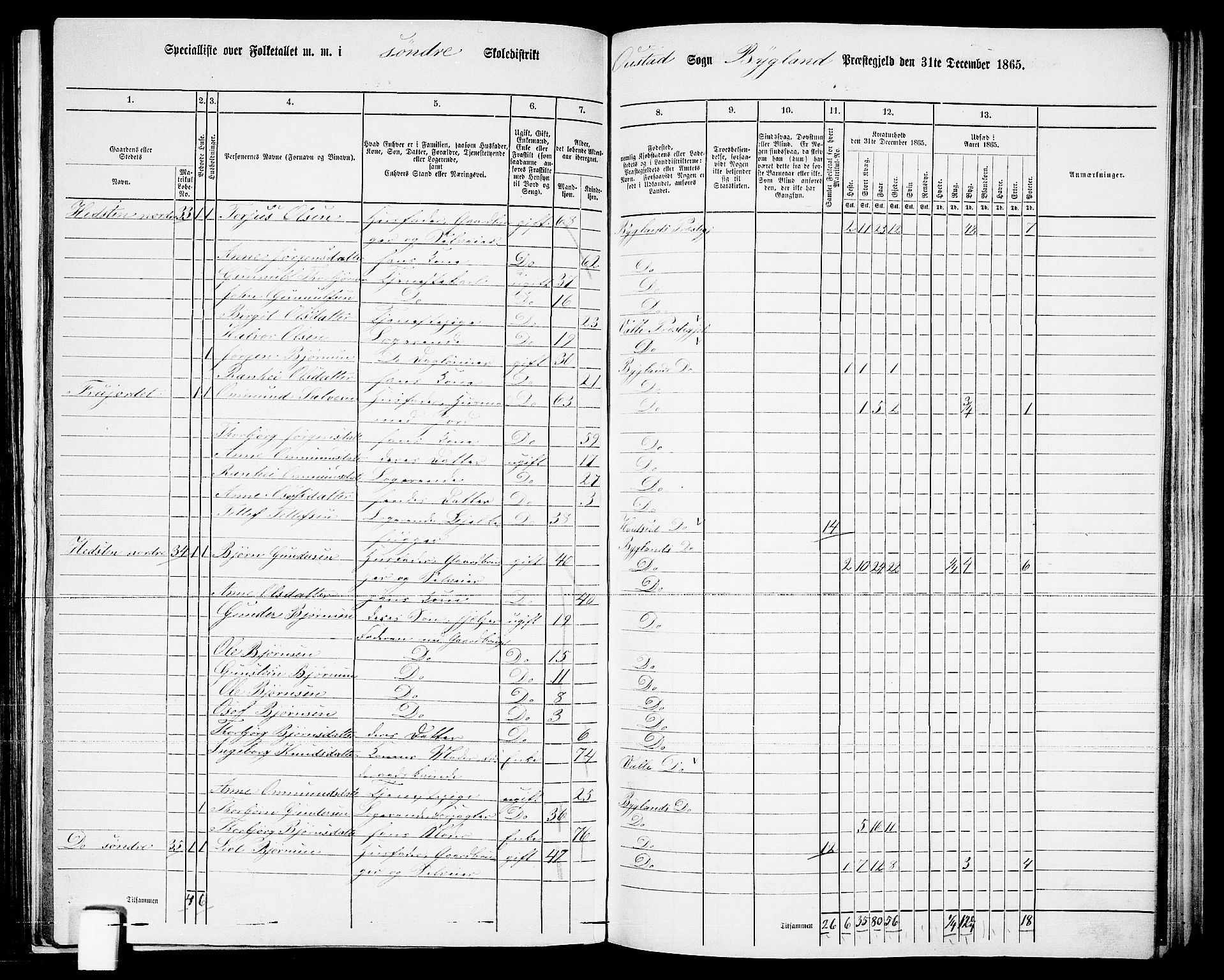 RA, Folketelling 1865 for 0938P Bygland prestegjeld, 1865, s. 21