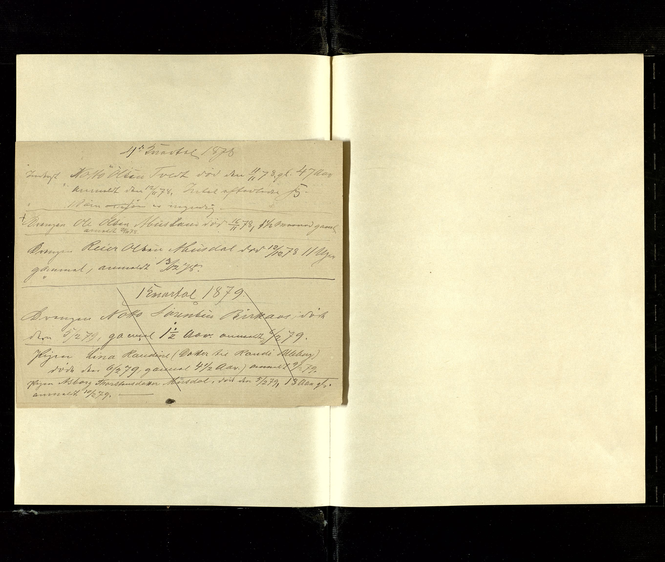 Evje og Hornnes lensmannskontor, AV/SAK-1241-0009/J/Jd/L0001/0002: Flytteattester, dødsfall / Anmeldte dødsfall, 1878
