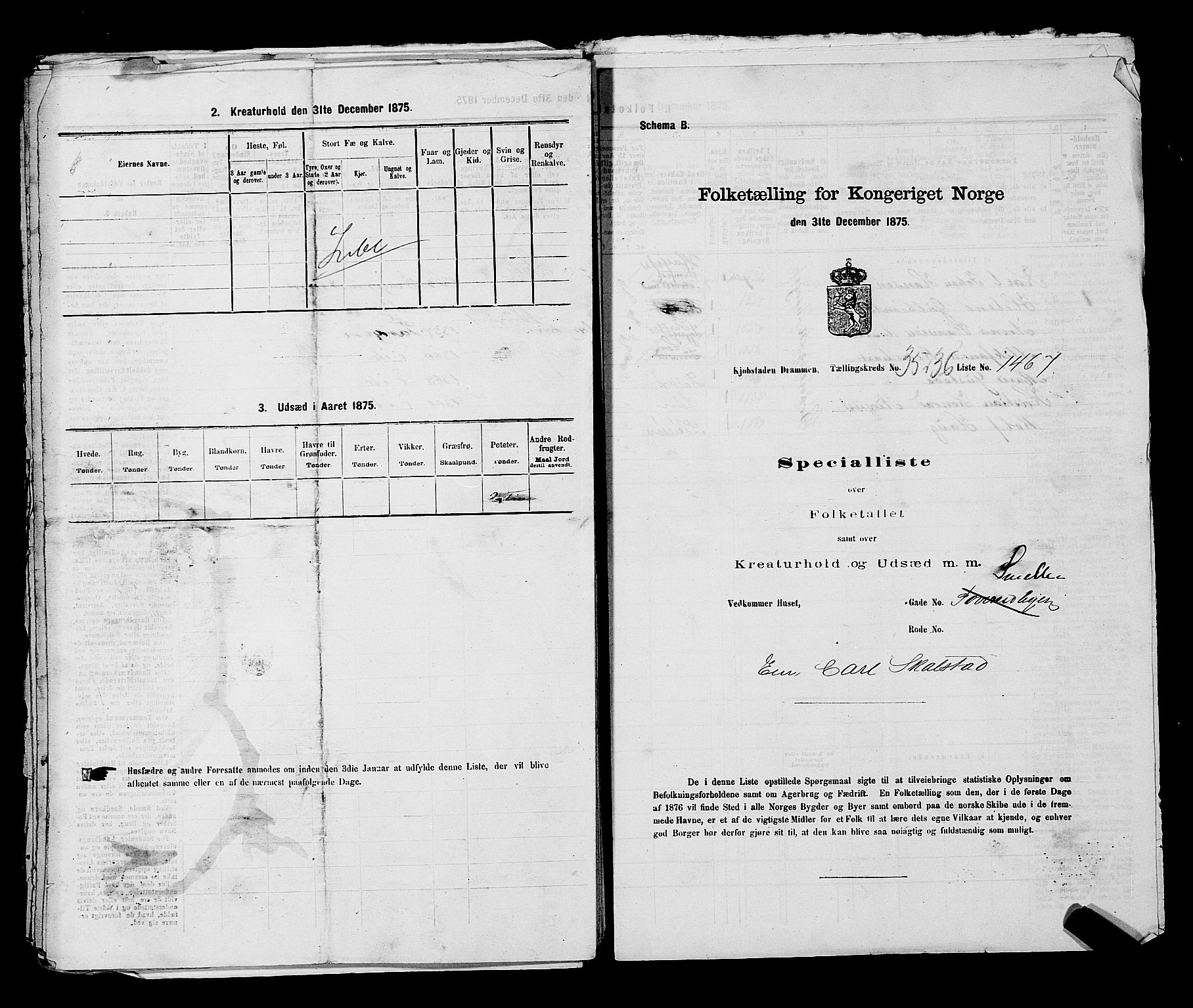 SAKO, Folketelling 1875 for 0602 Drammen kjøpstad, 1875, s. 3119