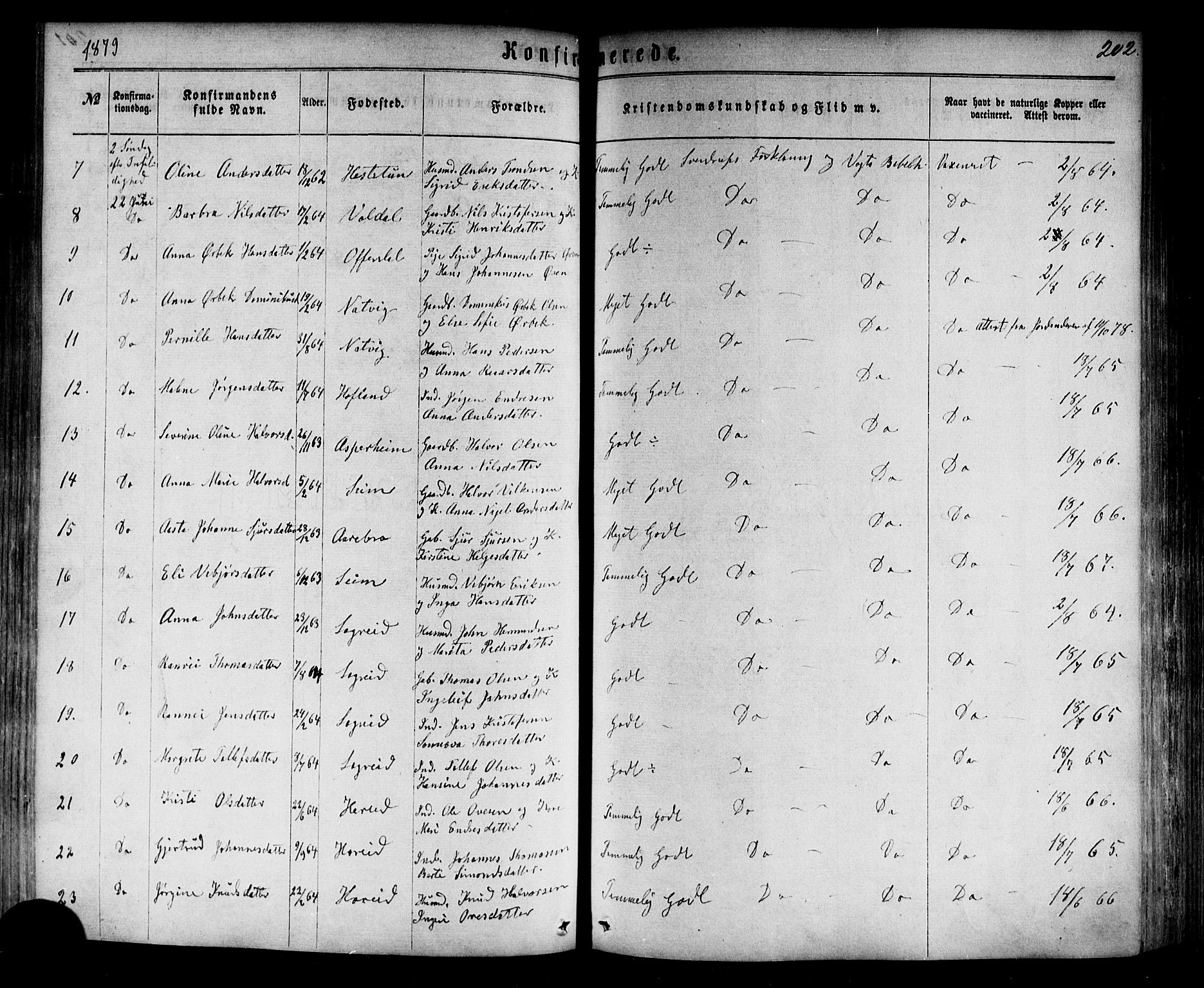 Årdal sokneprestembete, AV/SAB-A-81701: Ministerialbok nr. A 3, 1863-1886, s. 202