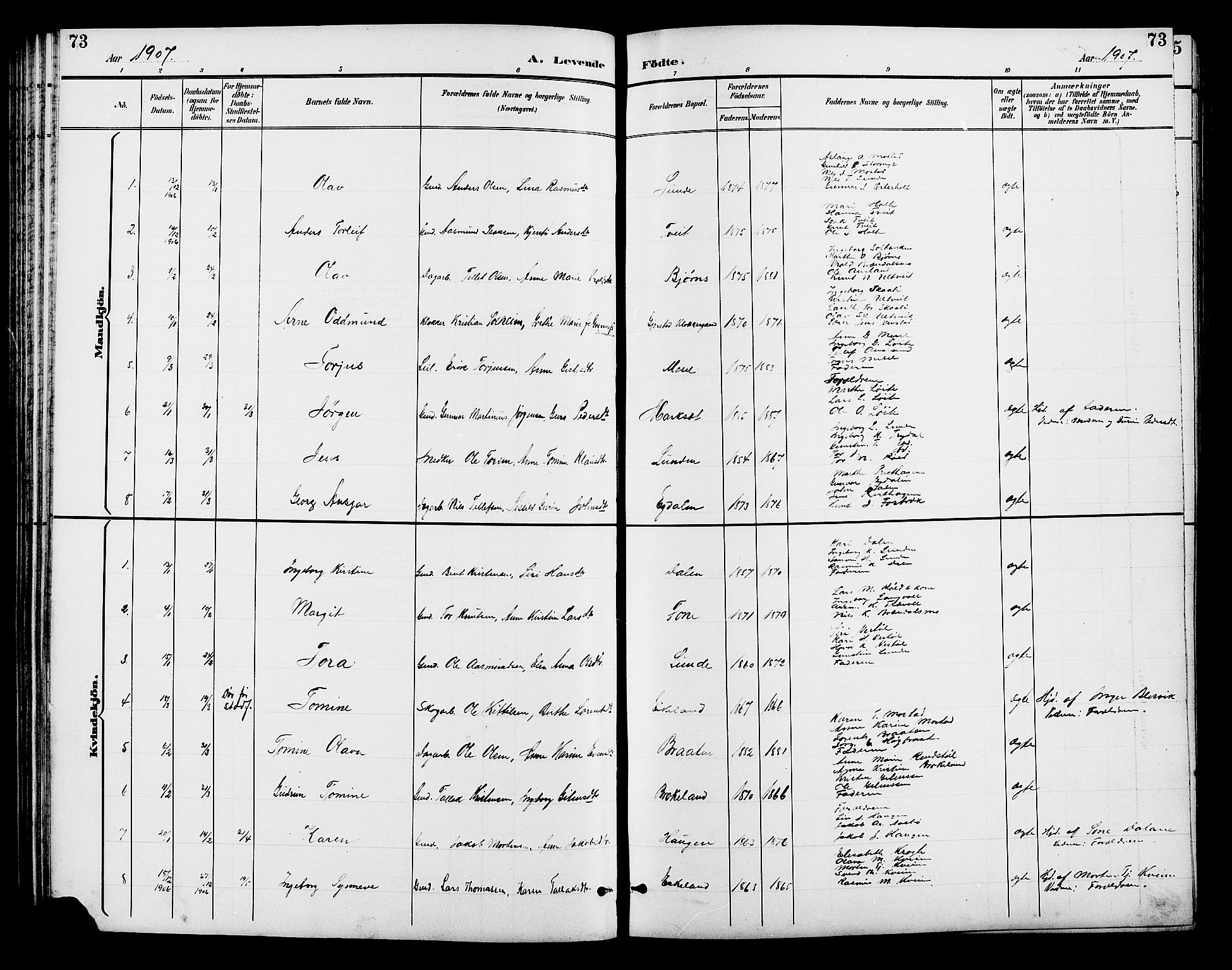 Gjerstad sokneprestkontor, AV/SAK-1111-0014/F/Fb/Fba/L0007: Klokkerbok nr. B 7, 1891-1908, s. 73