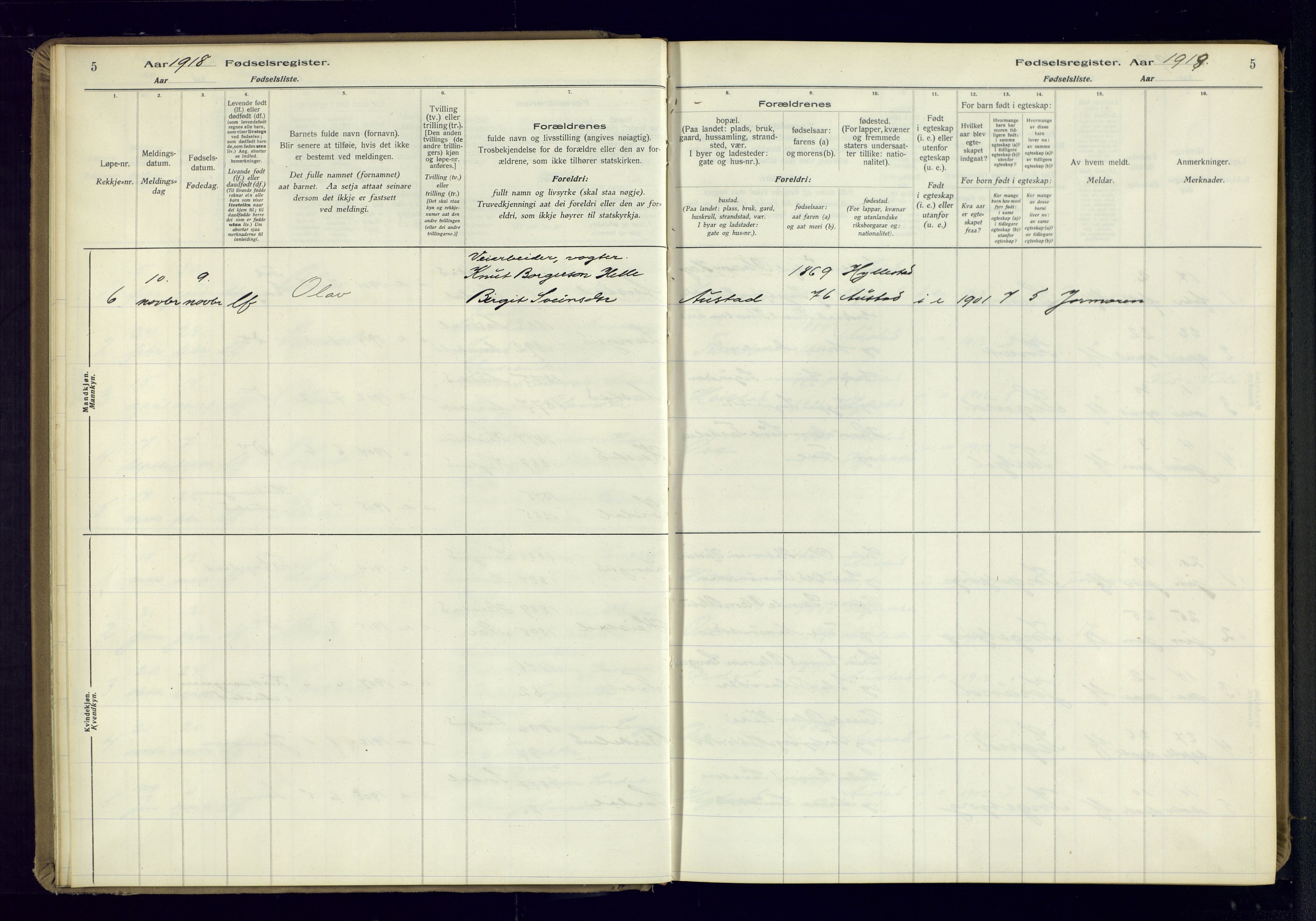 Bygland sokneprestkontor, AV/SAK-1111-0006/J/Ja/L0002: Fødselsregister nr. II.4.3, 1916-1982, s. 5