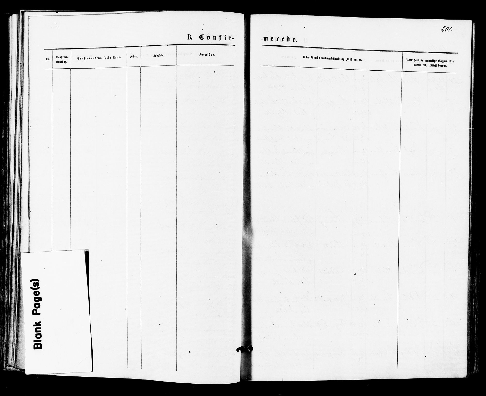 Lier kirkebøker, SAKO/A-230/F/Fa/L0014: Ministerialbok nr. I 14, 1875-1882, s. 231