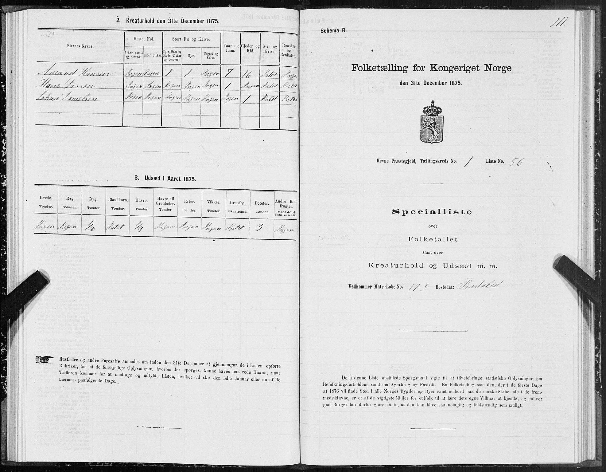 SAT, Folketelling 1875 for 1612P Hemne prestegjeld, 1875, s. 1111