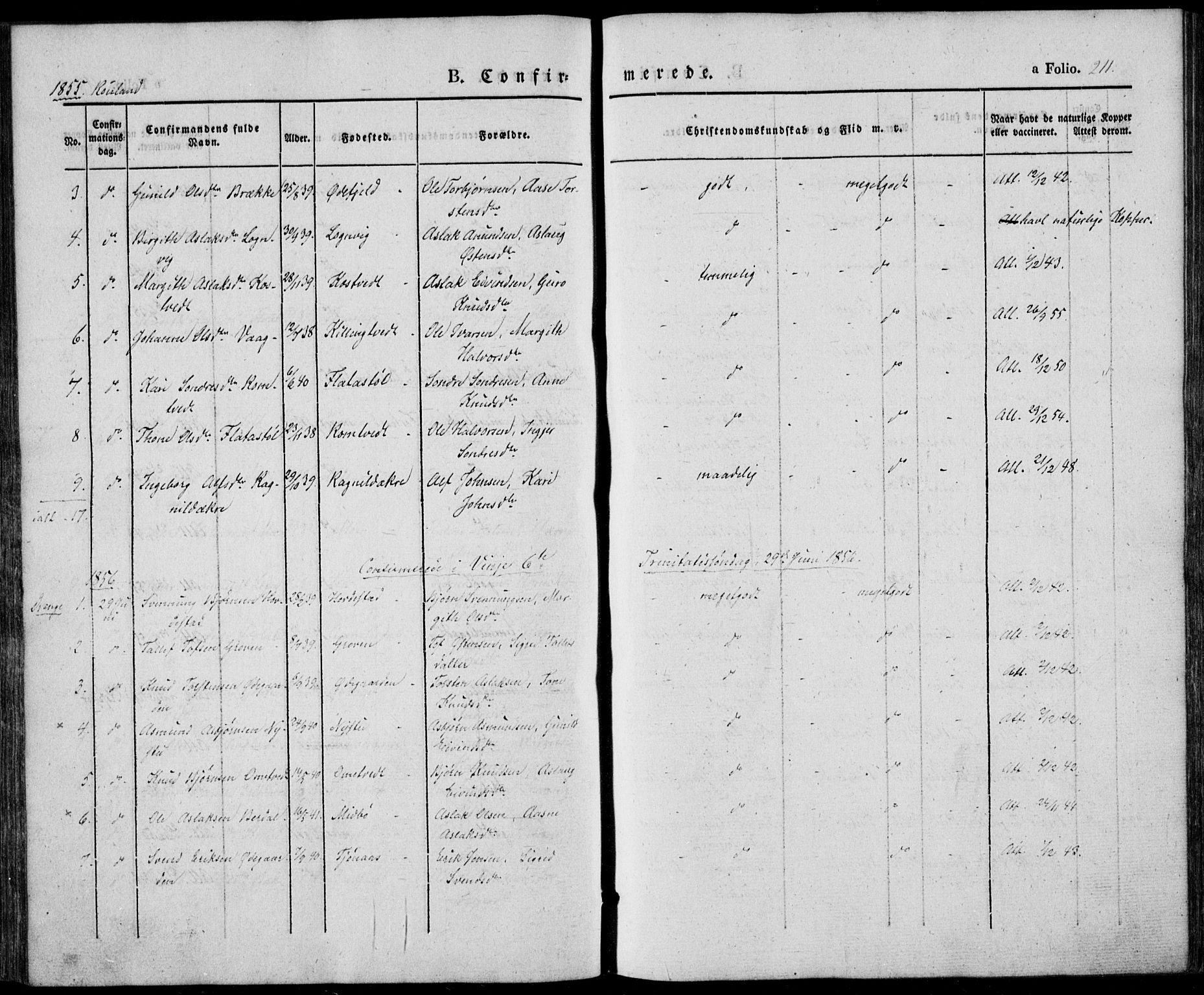 Vinje kirkebøker, AV/SAKO-A-312/F/Fa/L0004: Ministerialbok nr. I 4, 1843-1869, s. 211